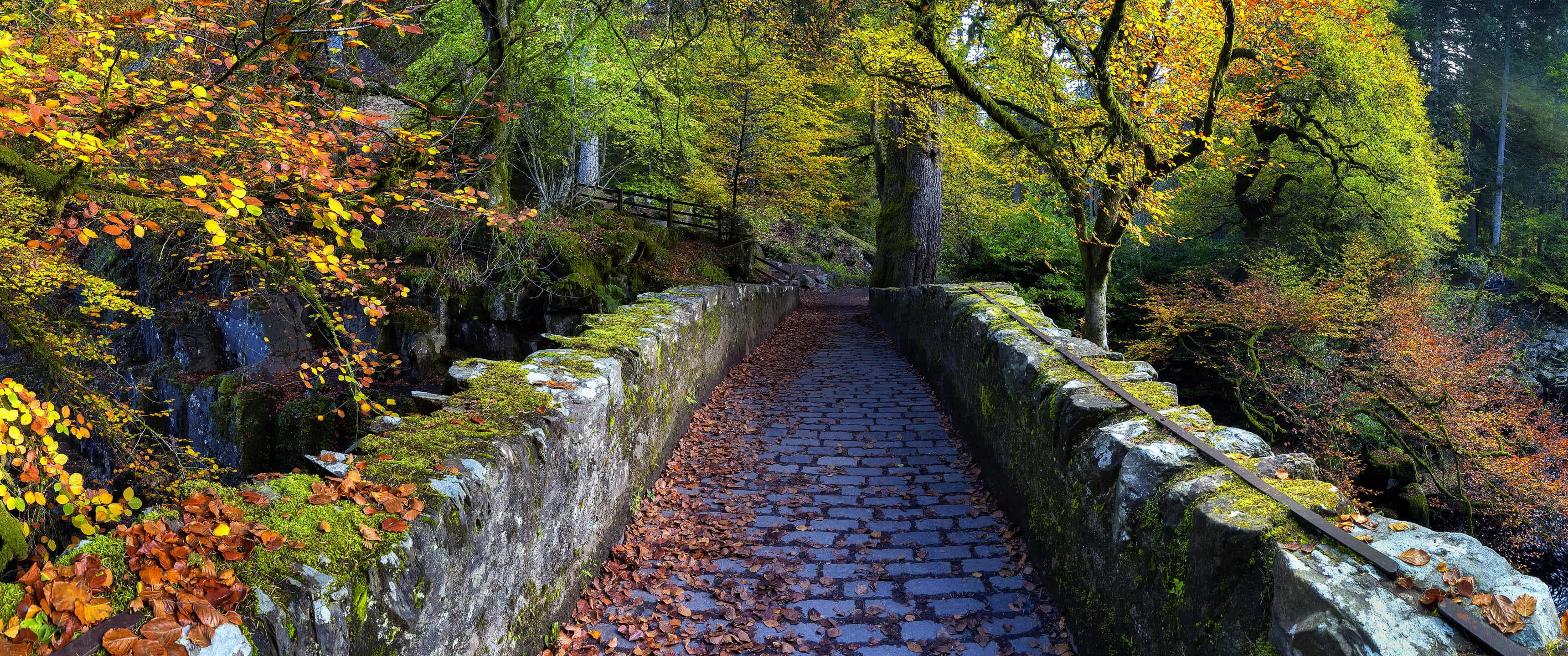 Autumn Season 桌布 壁紙 — 一座長滿苔蘚的石橋，散落著秋天的落葉，橫跨在色彩繽紛的樹木下的森林溪流上。