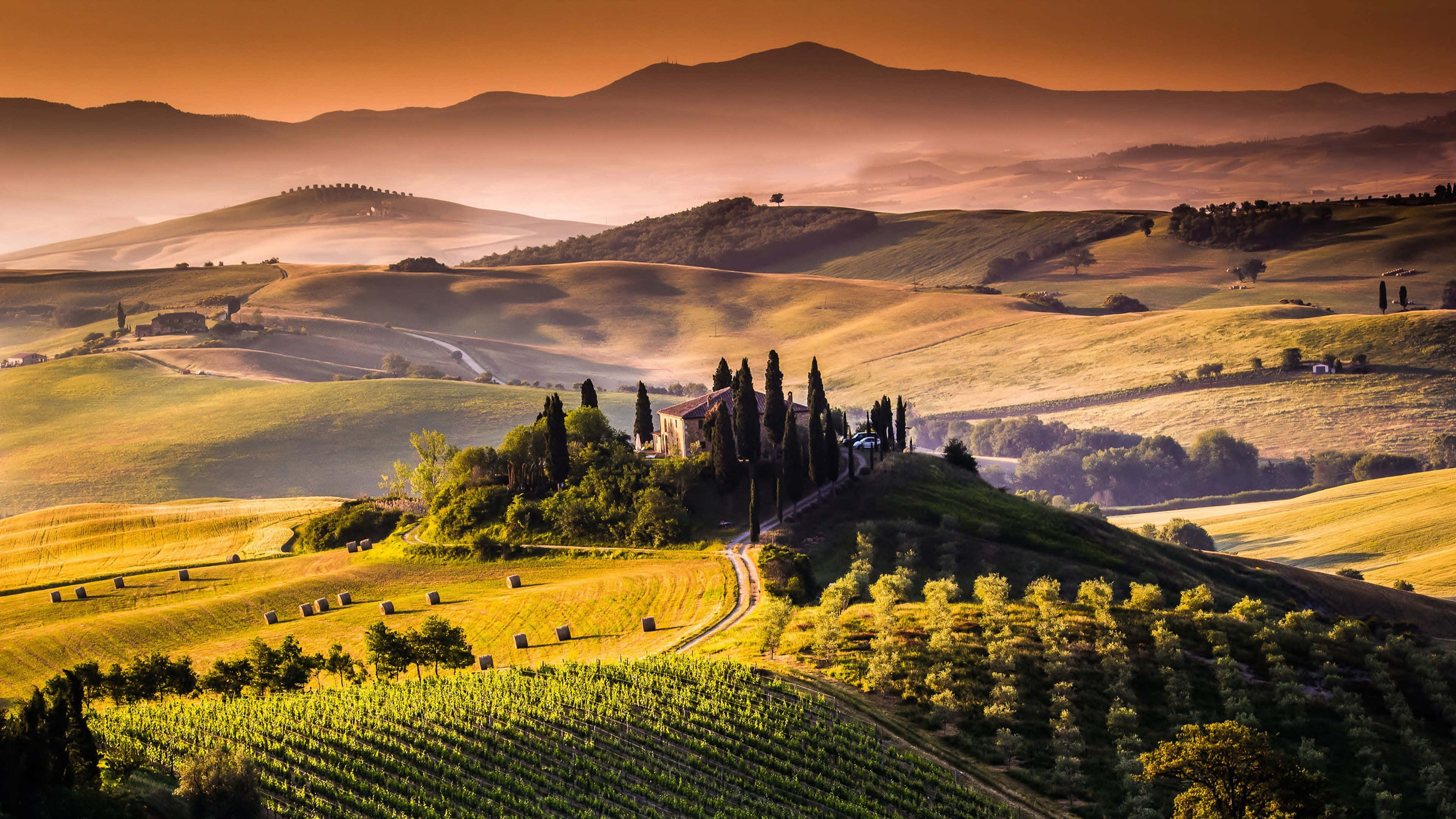 Tuscany 桌布 壁紙 — 一座陽光普照的托斯卡尼別墅，坐落在霧氣瀰漫的山坡上，被柏樹環繞，俯瞰金色葡萄園和連綿起伏的丘陵。