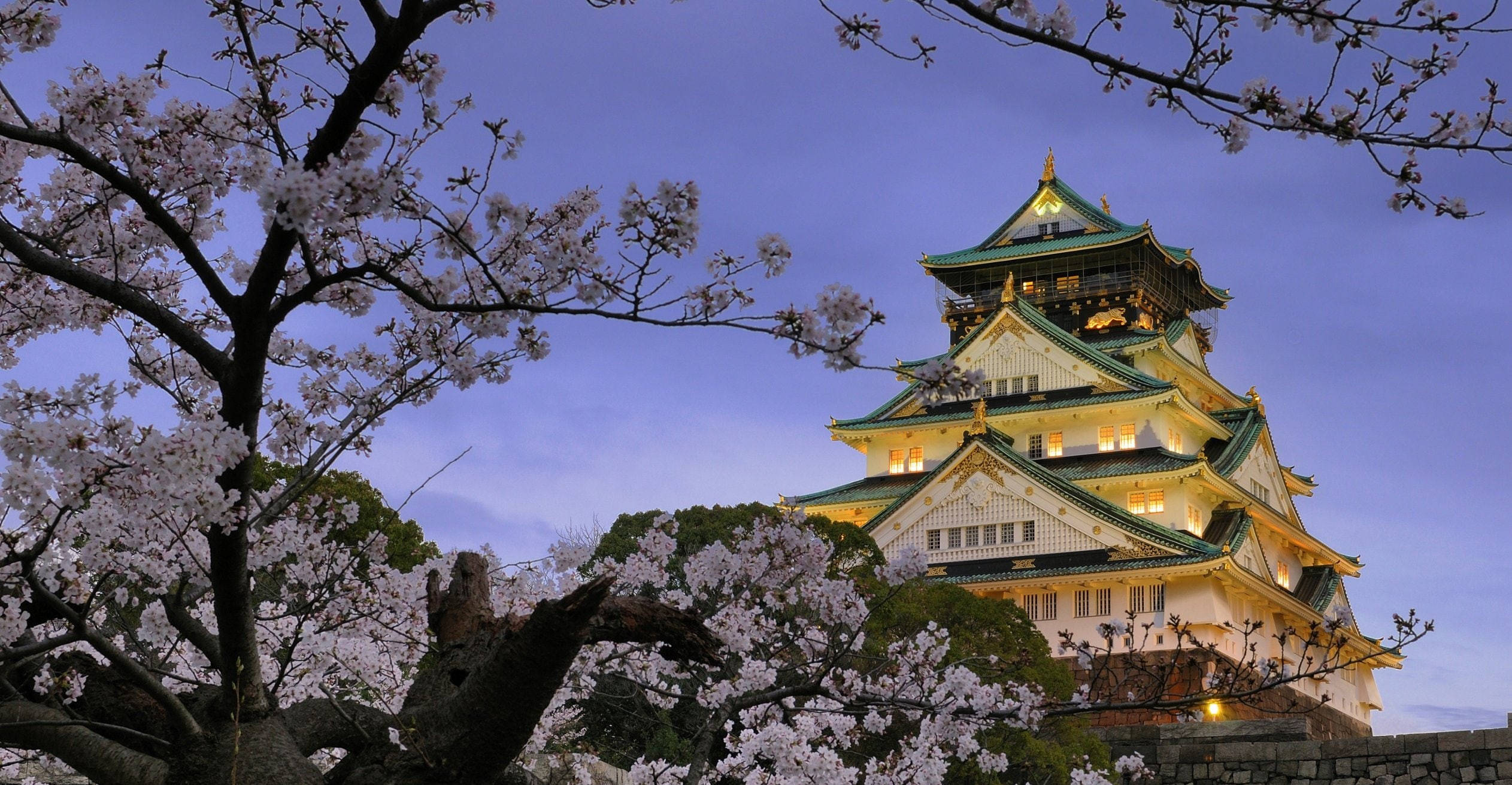 Osaka Castle 桌布 壁紙 — 一座雄偉的、燈火通明的日本城堡，被盛開的櫻花枝條環繞，映襯著暮色天空。