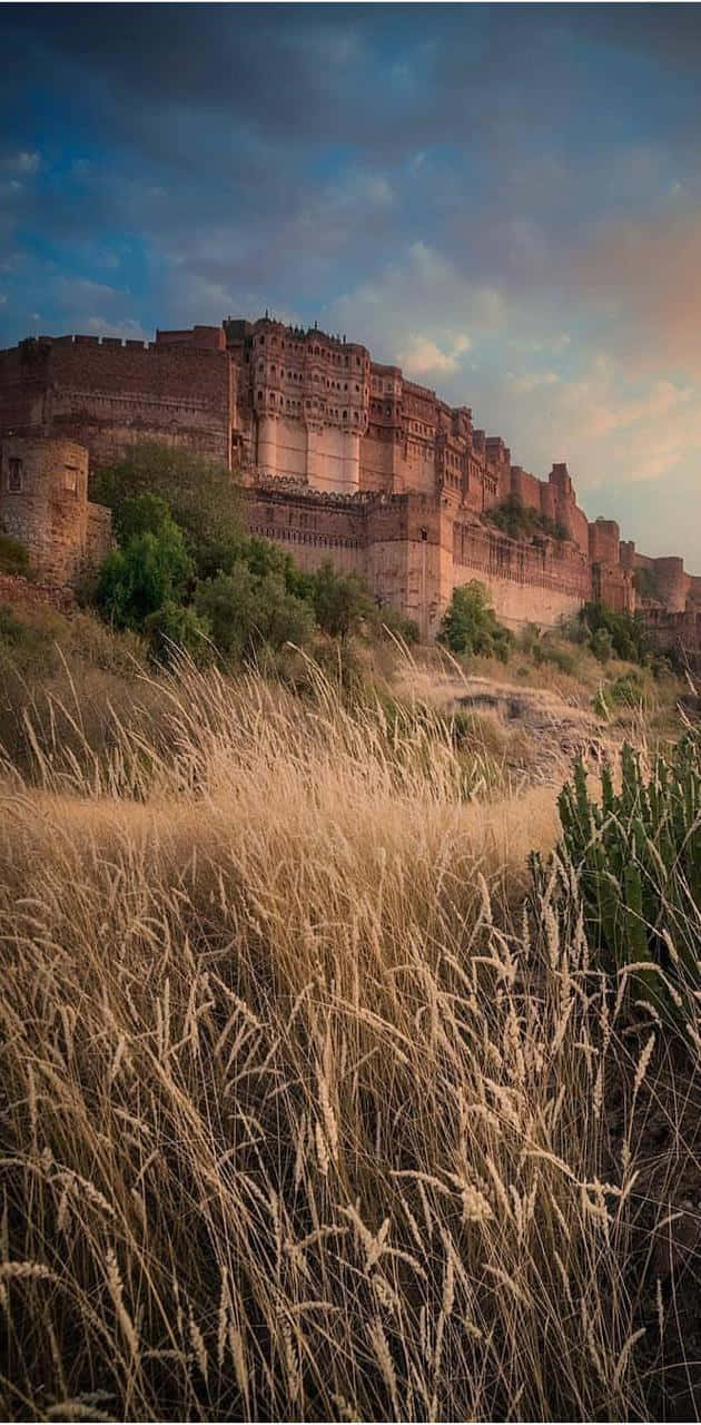 Grass 桌布 壁紙 — 一座雄偉的古老堡壘坐落在山頂上，俯瞰著一片金色草地，背景是戲劇性的暮色天空。