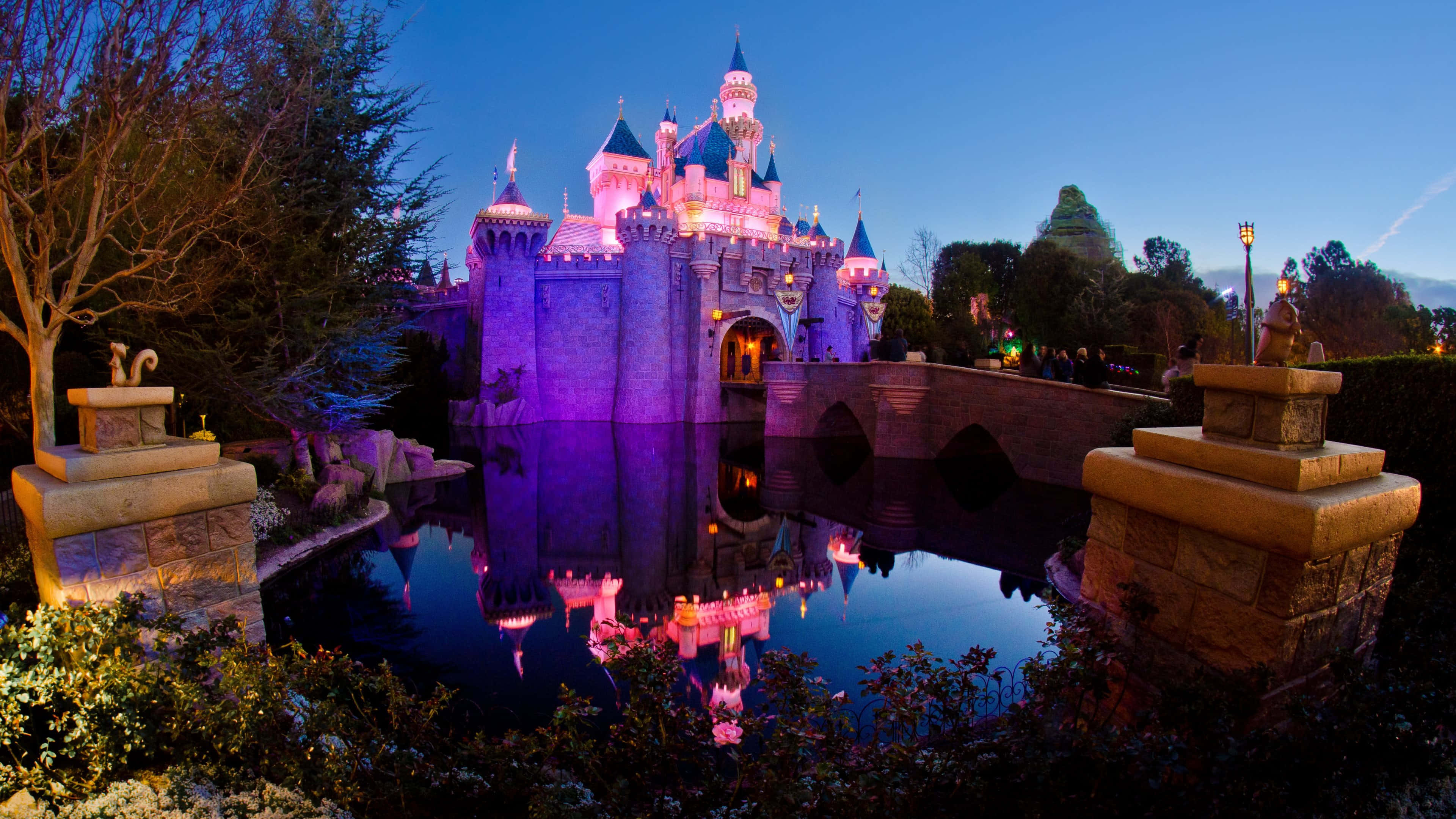 Disney World Desktop 桌布 壁紙 — 一座雄偉的城堡在紫色和粉紅色的燈光照射下，完美地倒映在黃昏時平靜的護城河中。