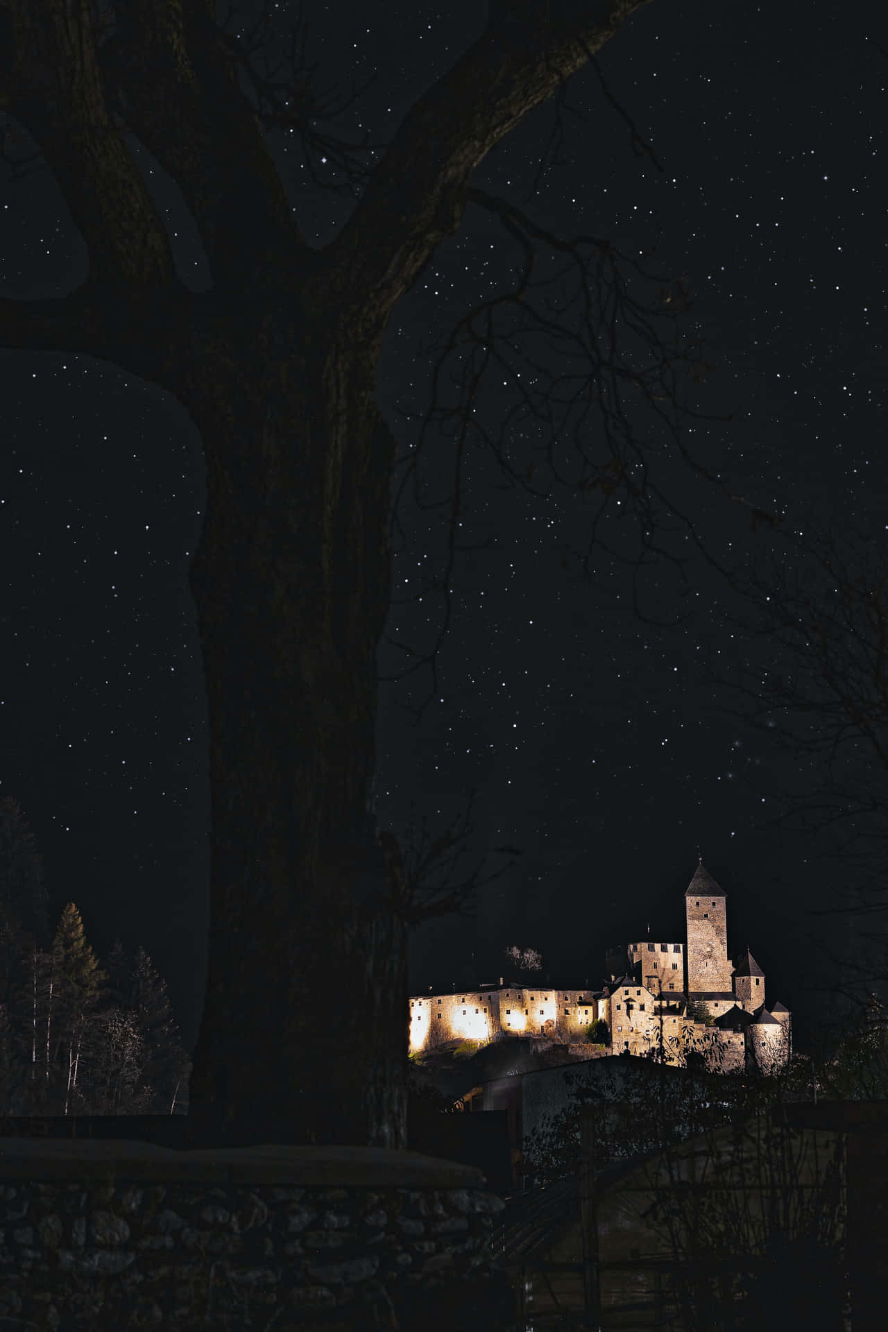 夜晚星空下被照亮的古老城堡，前景有一棵巨大的光禿樹。 — 4K Android 壁紙