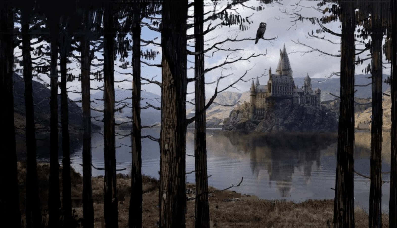 The Hogwarts Lake 桌布 壁紙 — 一座雄偉的城堡坐落在霧氣瀰漫的湖中岩石島上，周圍環繞著高大的光禿樹木，一隻貓頭鷹棲息在樹枝上。