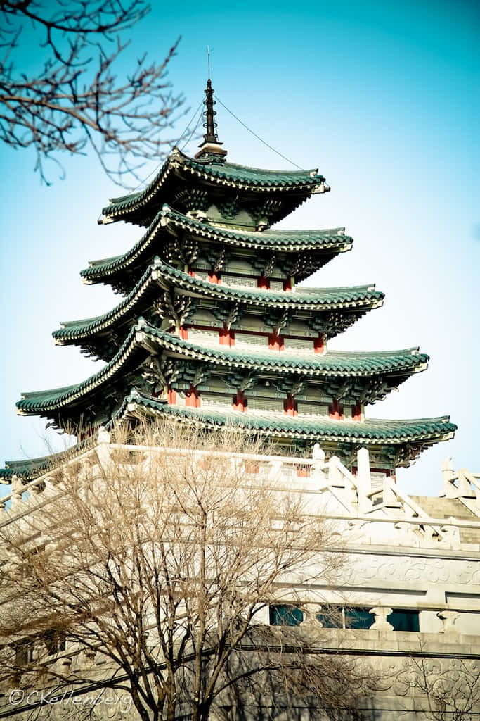 南韓 桌布 壁紙 — 一座雄偉的多層寶塔，擁有綠色瓦頂和紅色點綴，在晴朗的藍天襯托下，周圍是光禿禿的冬季樹木。