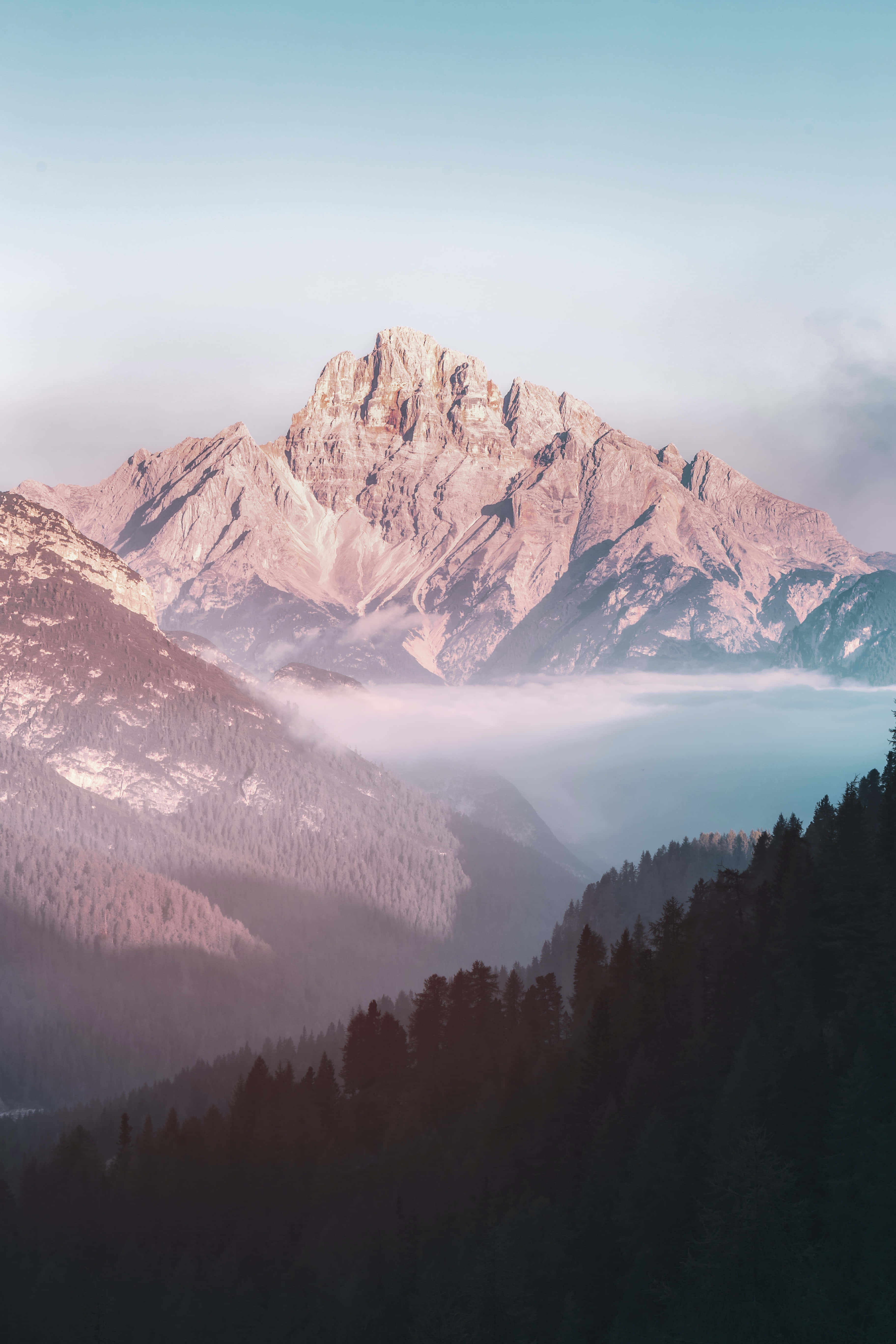 Mountain Aesthetic 桌布 壁紙 — 一座雄偉的山峰沐浴在柔和的粉紅色光芒中，聳立在霧海之上，下方是茂密的常綠森林。