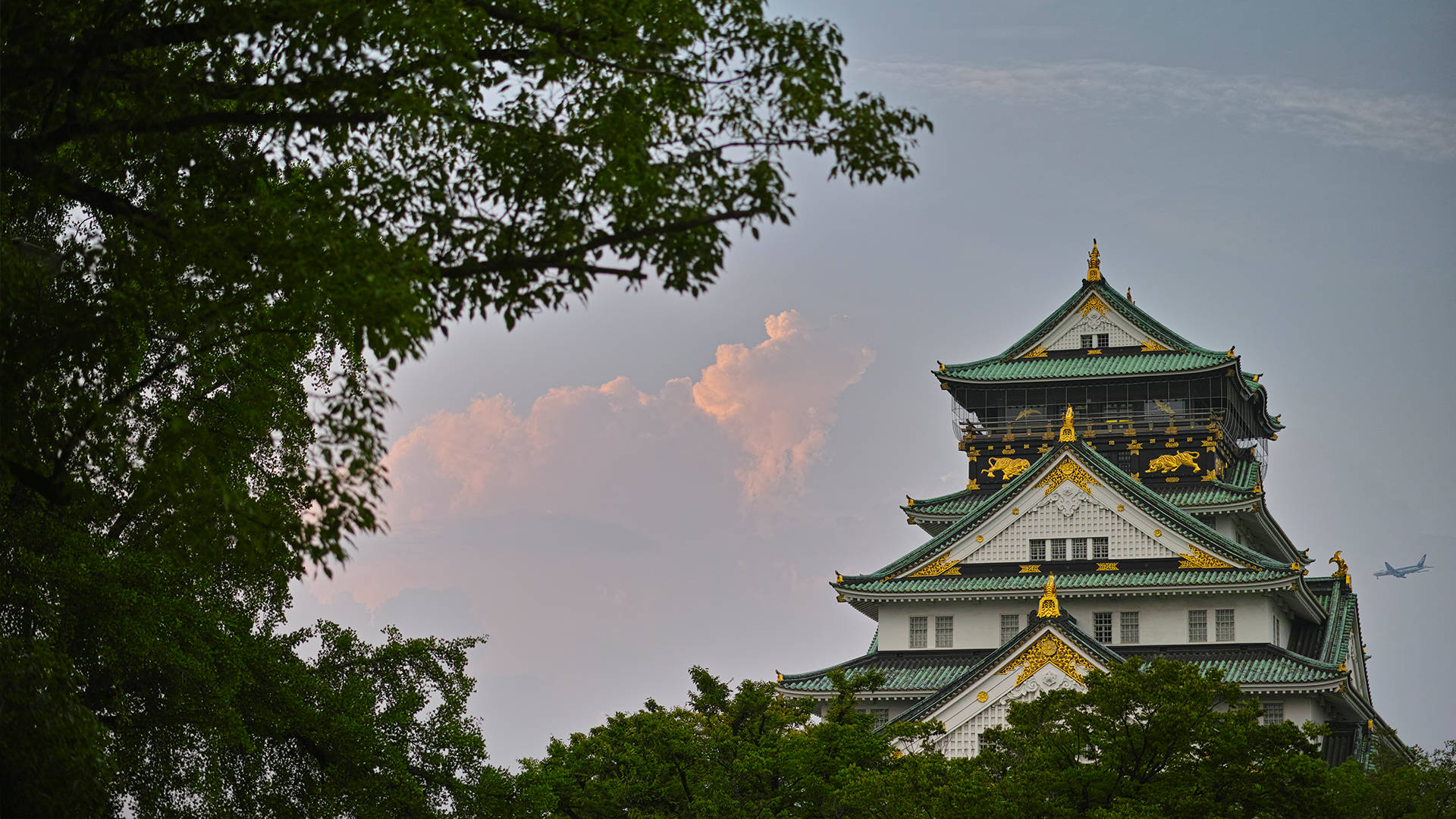 Osaka Castle 桌布 壁紙 — 一座雄偉的日本城堡，擁有綠色屋頂和金色裝飾，在柔和的粉紅色和灰色暮色天空下，聳立在茂密的樹木之上。