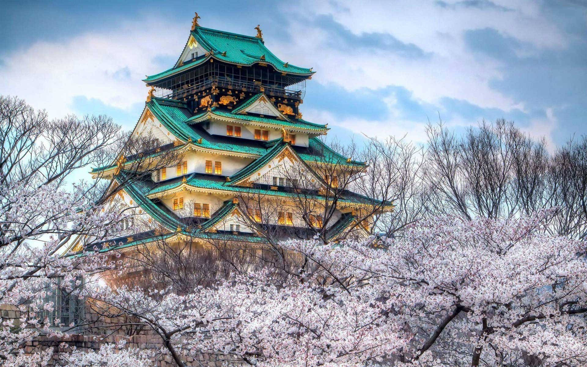Osaka Castle 桌布 壁紙 — 一座雄偉的日本城堡，擁有綠色屋頂和溫暖的窗戶，矗立在盛開的櫻花樹後，天空多雲。