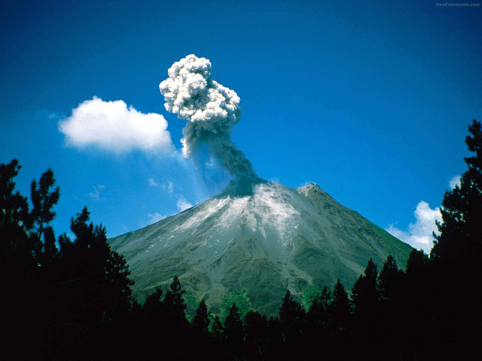Volcano 桌布 壁紙 — 一座雄偉的火山爆發，噴出高聳的火山灰柱，映襯著由深色松樹框住的鮮豔藍天。