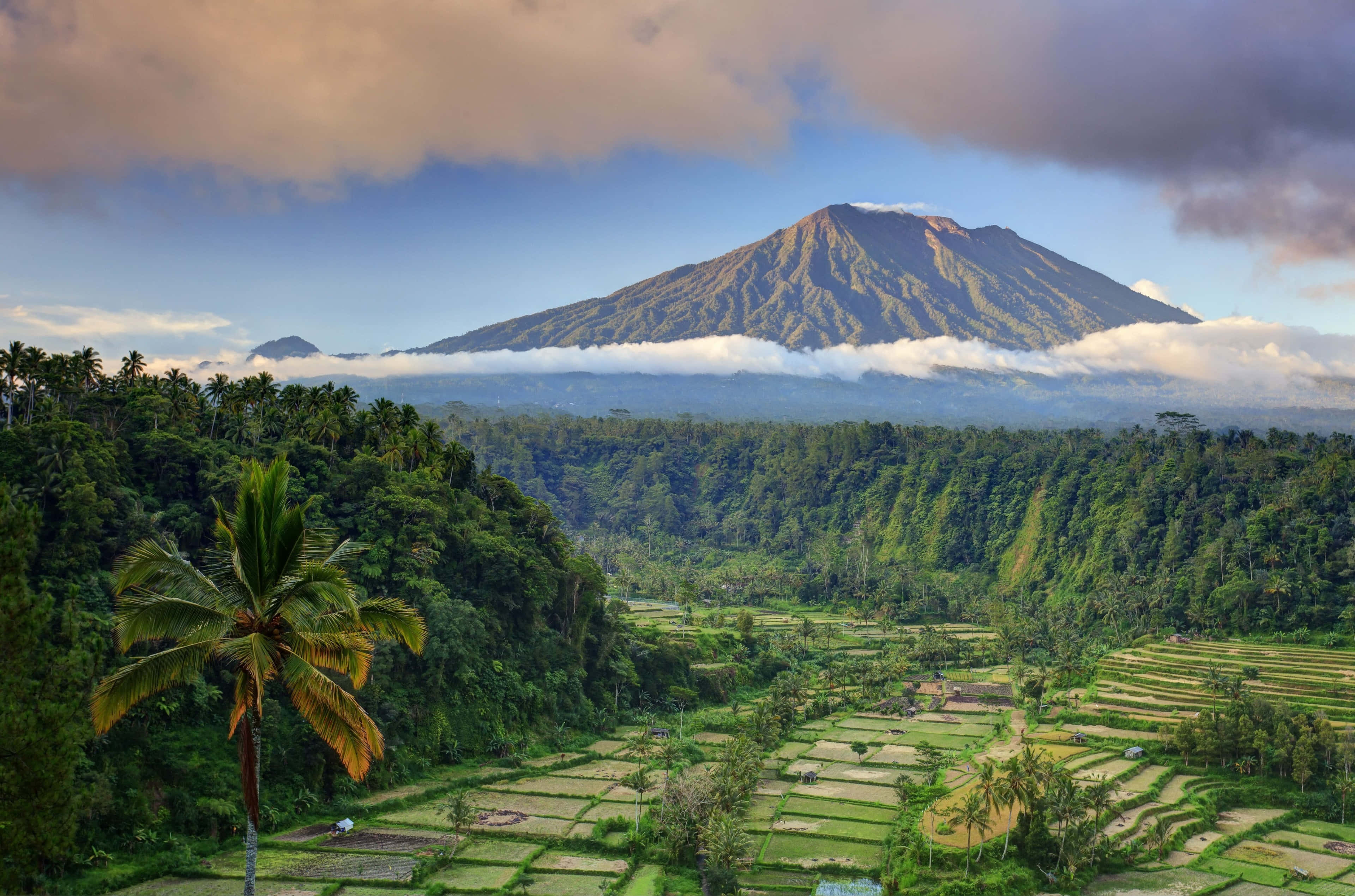 Bali 桌布 壁紙 — 一座雄偉的火山聳立在霧雲之上，俯瞰著鬱鬱蔥蔥的綠色梯田和棕櫚樹。