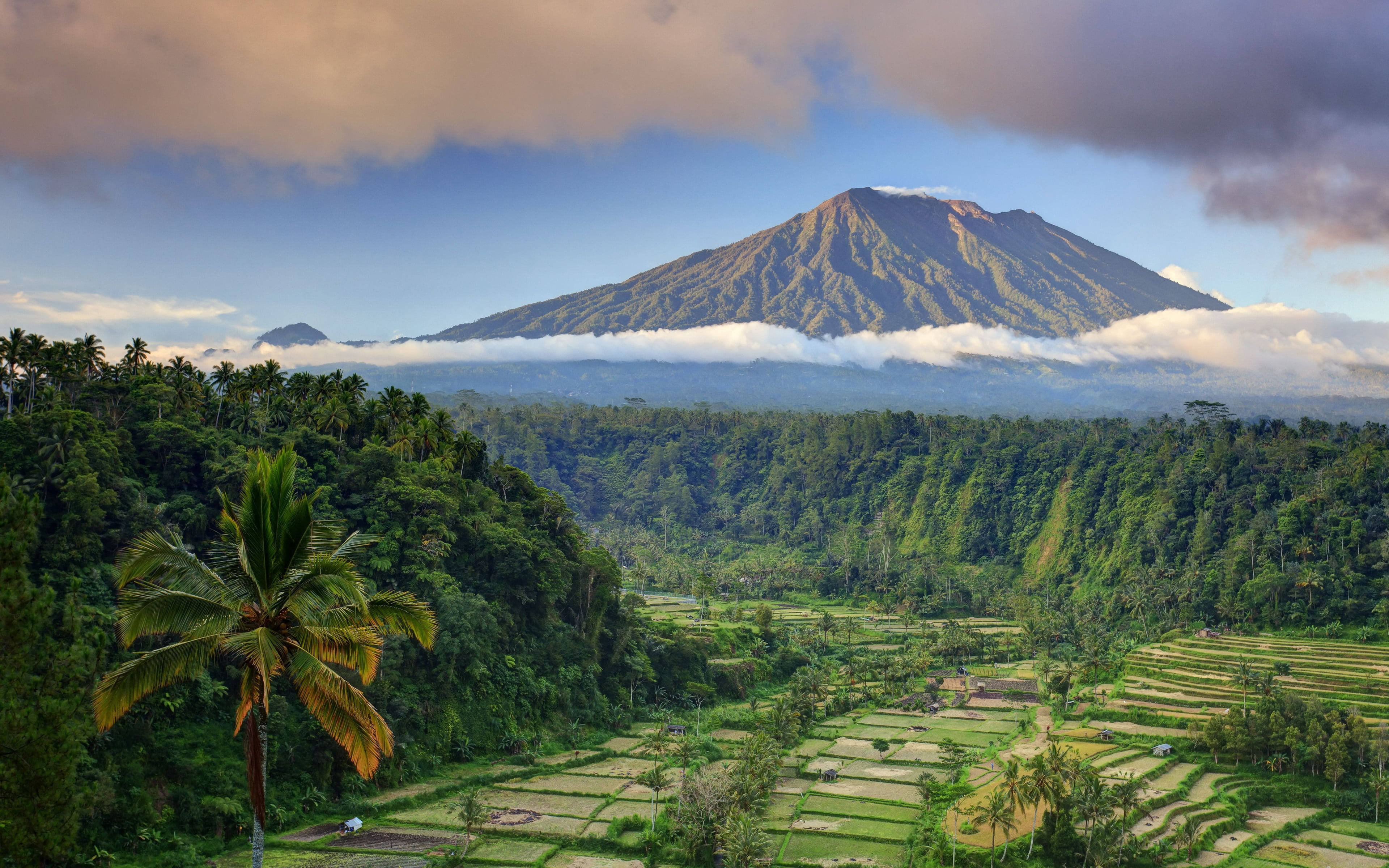 印尼 桌布 壁紙 — 一座雄偉的火山聳立在鬱鬱蔥蔥的綠色梯田和茂密的叢林之上，天空部分多雲。