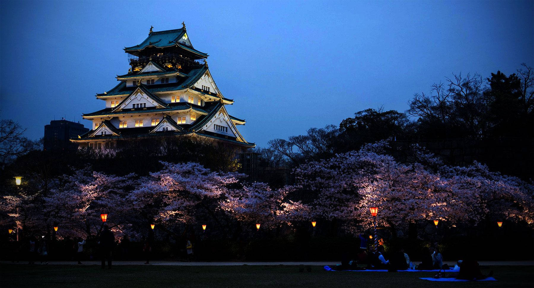 Osaka Castle 桌布 壁紙 — 一座雄偉的燈光日本城堡聳立在櫻花樹上，櫻花在暮色中閃耀，人們在下方放鬆。