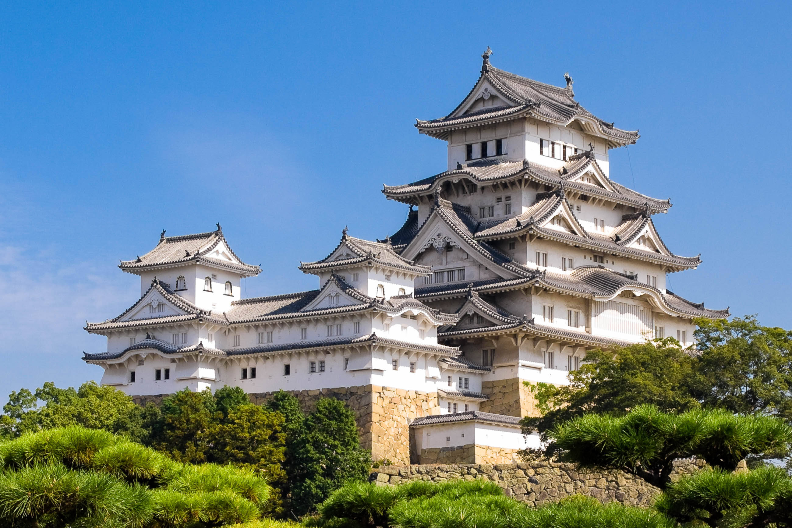 Himeji Castle 桌布 壁紙 — 一座雄偉的白色日本城堡，擁有分層屋頂，在晴朗的藍天下傲然矗立，周圍環繞著茂密的綠色樹木。