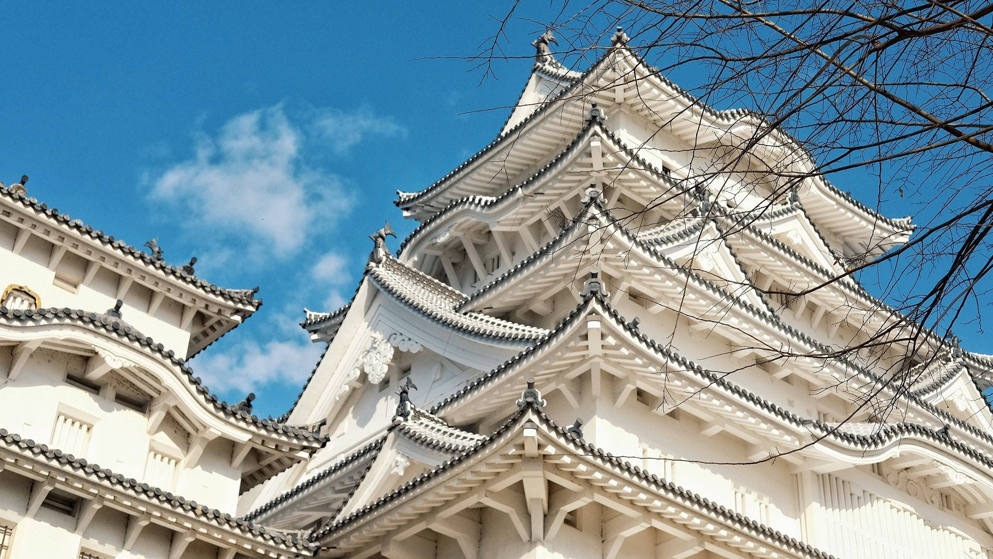 Himeji Castle 桌布 壁紙 — 一座雄偉的白色日本城堡，擁有層疊的瓦片屋頂，矗立在清澈的藍天下，天空中有稀疏的雲朵，前景有光禿的樹枝。