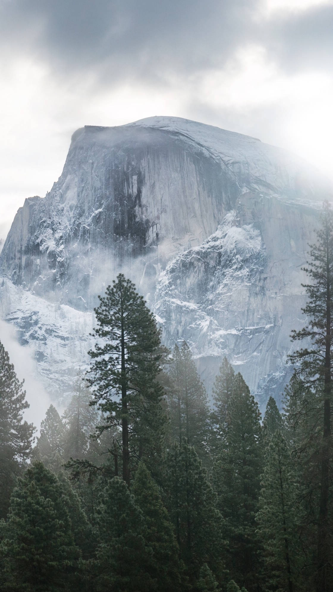 Yosemite iPhone 桌布 壁紙 — 一座雄偉的積雪花崗岩圓頂在薄霧中升起，前景有常綠樹，天空多雲。
