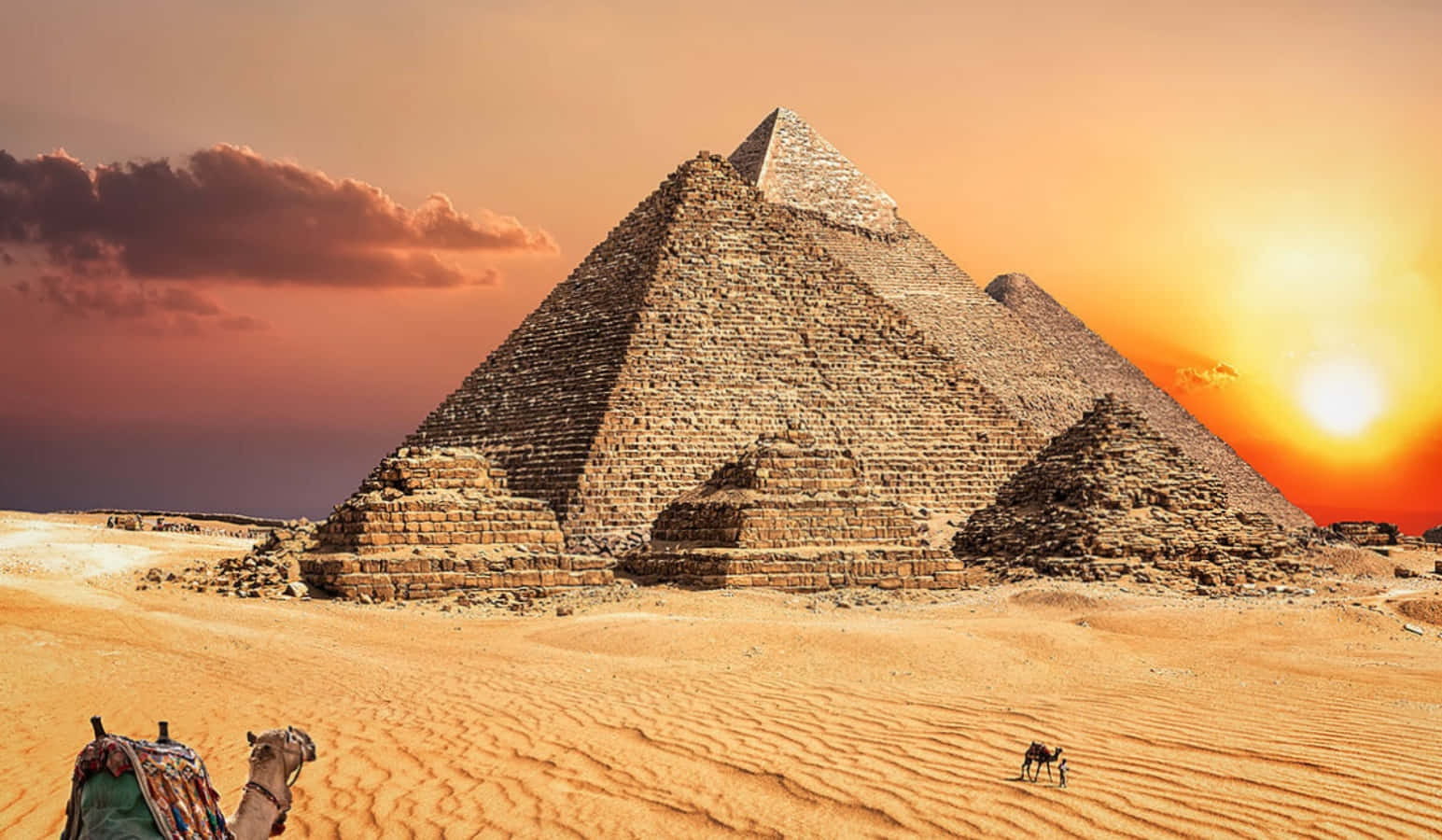 Egypt Pyramids 桌布 壁紙 — 一座雄偉的金字塔從金色沙漠中升起，在熾熱的日落天空下，前景有一隻孤獨的駱駝。