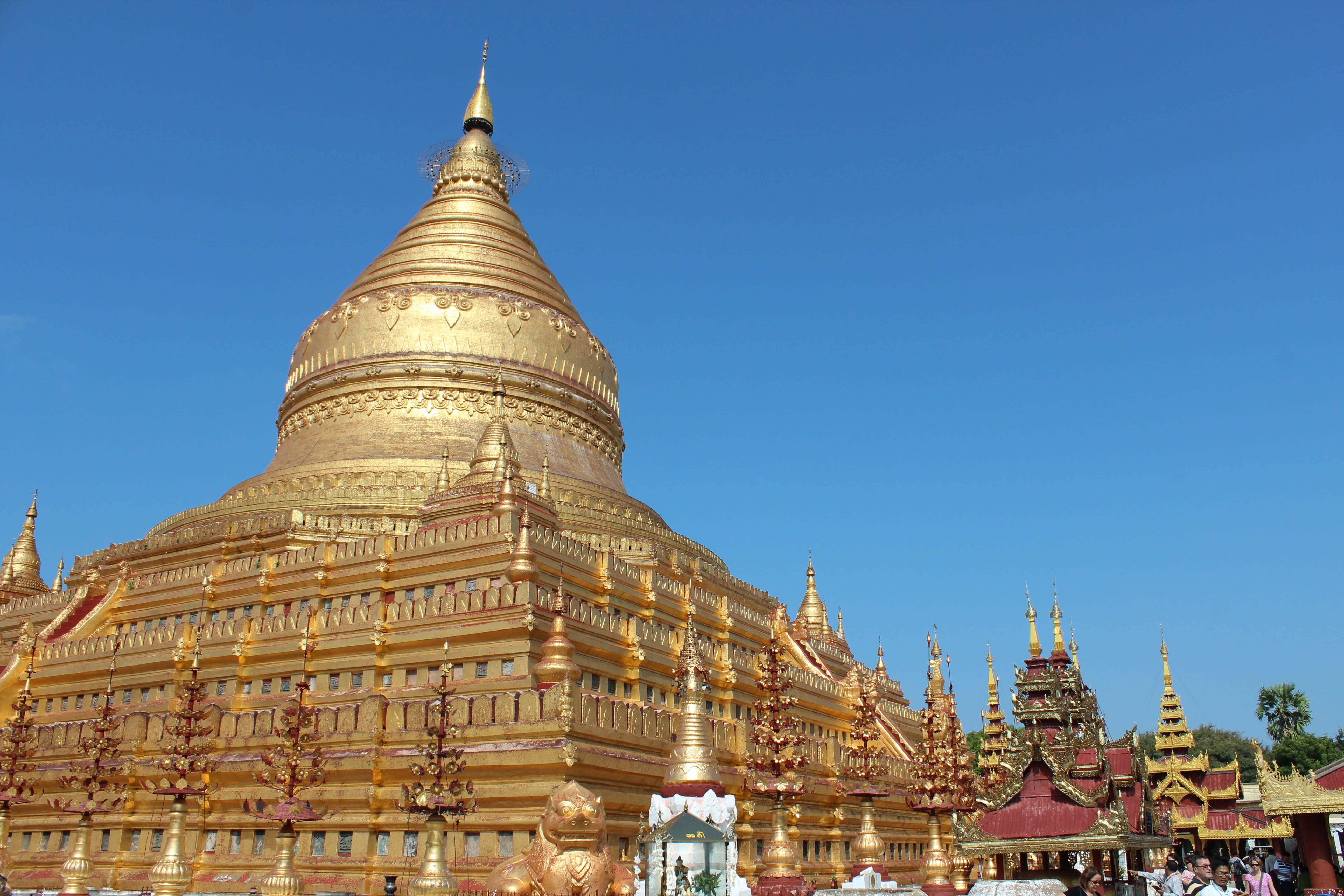 Yangon 桌布 壁紙 — 一座雄偉的金色寶塔，帶有複雜的尖頂，在繁忙的寺廟建築群中，在清澈的藍天下閃閃發光。