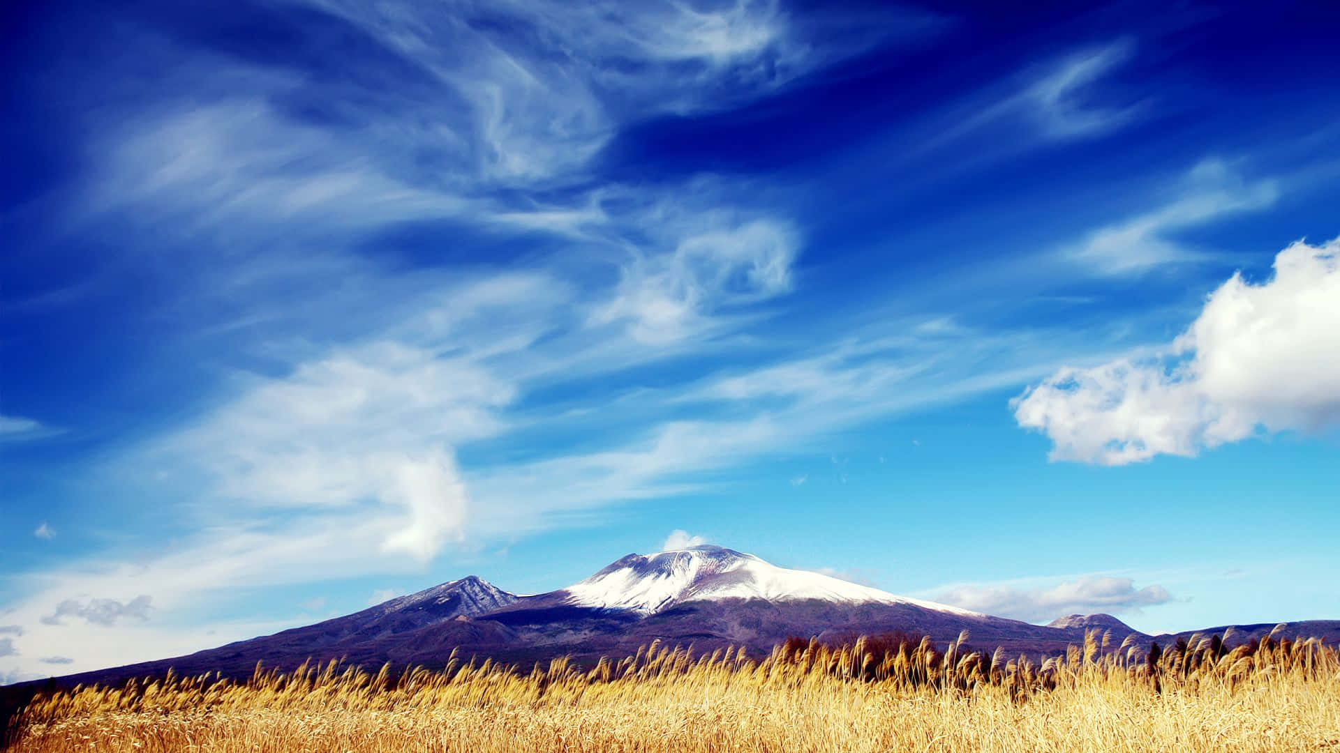 Spring Sky 桌布 壁紙 — 一座雄偉的雪山在藍天白雲下聳立，前景的金色草地將其環繞。