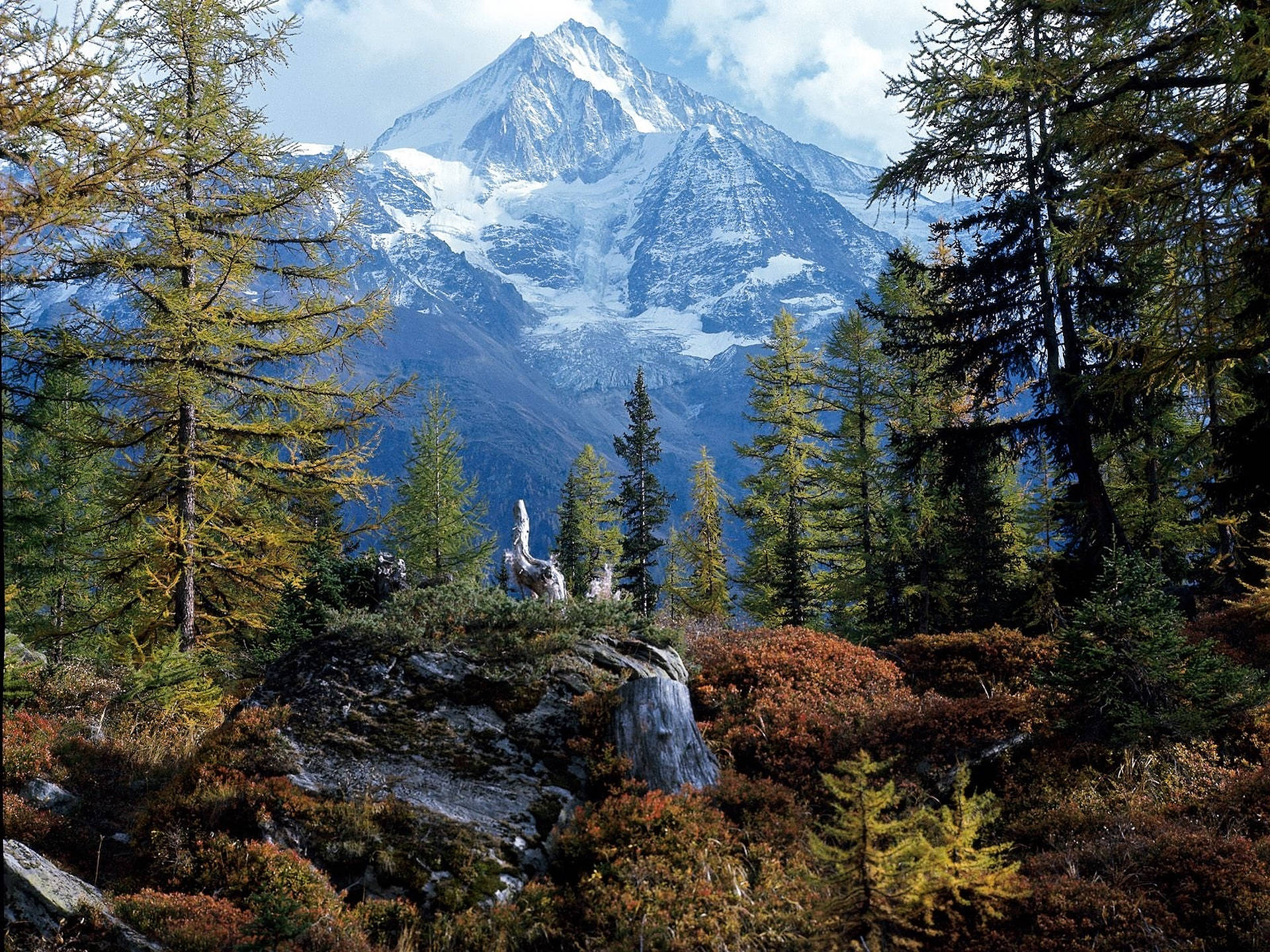 Alps 桌布 壁紙 — 一座雄偉的雪山聳立在常綠樹和秋日灌木叢林之上，天空部分多雲。