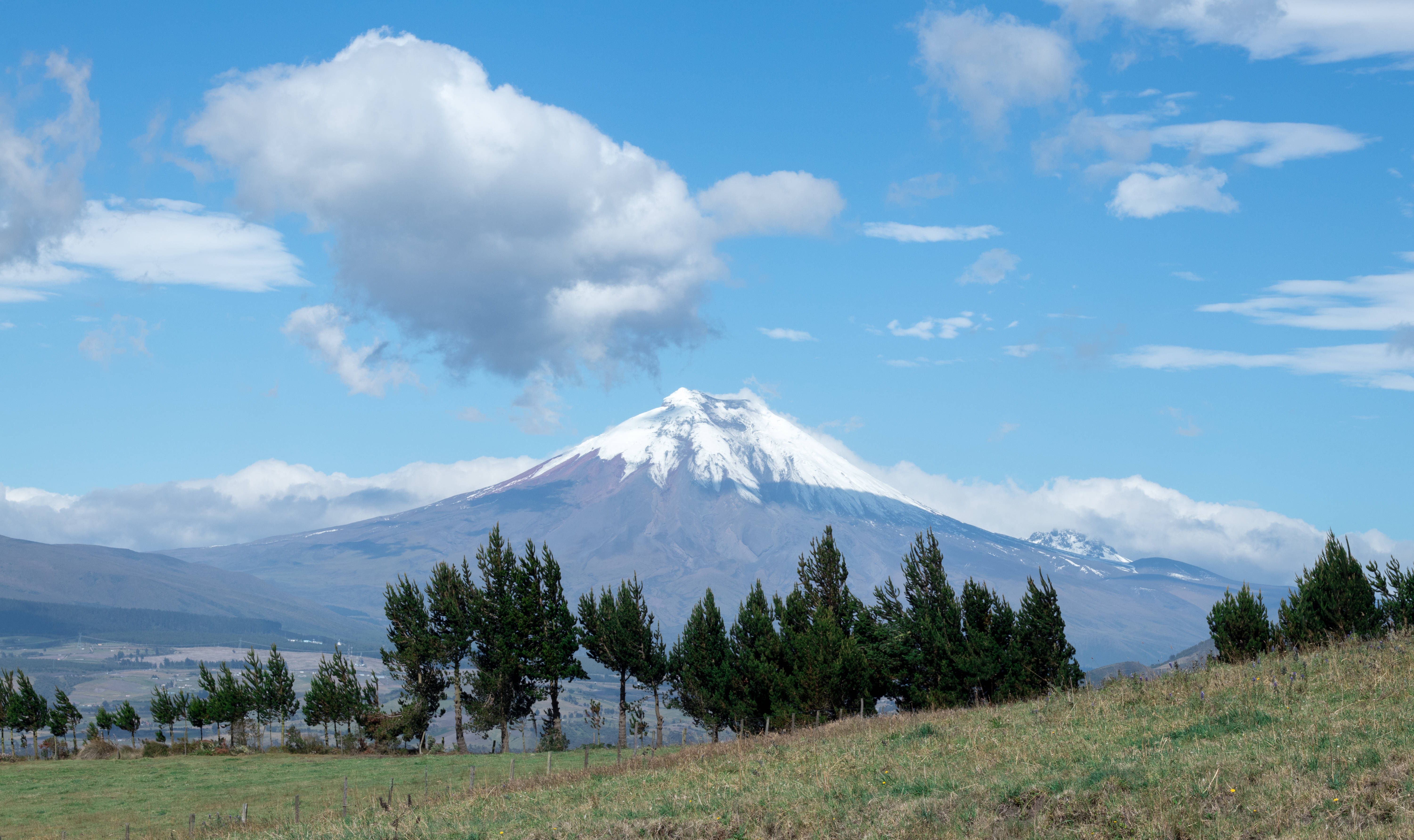 Ecuador 桌布 壁紙 — 一座雄偉的雪山聳立在綠色的田野之上，田野上散落著樹木，天空湛藍明亮，飄著蓬鬆的白雲。