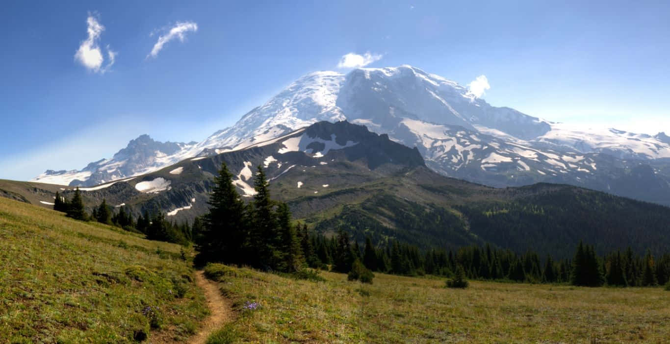 Hiking 桌布 壁紙 — 一座雄偉的雪山聳立在陽光明媚的草地上，周圍有常青樹和蜿蜒的泥土小徑。