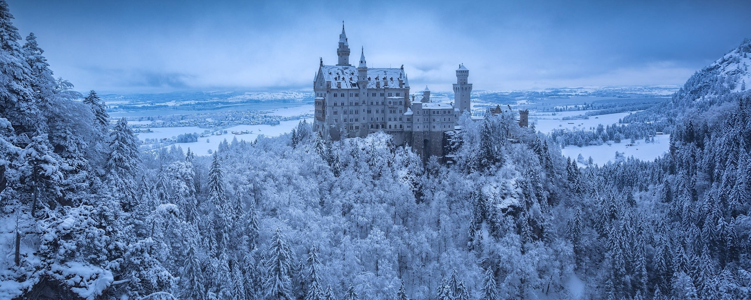 Neuschwanstein Castle 桌布 壁紙 — 一座雄偉的雪覆蓋城堡，坐落在森林覆蓋的山丘頂上，陰沉的冬日天空下。