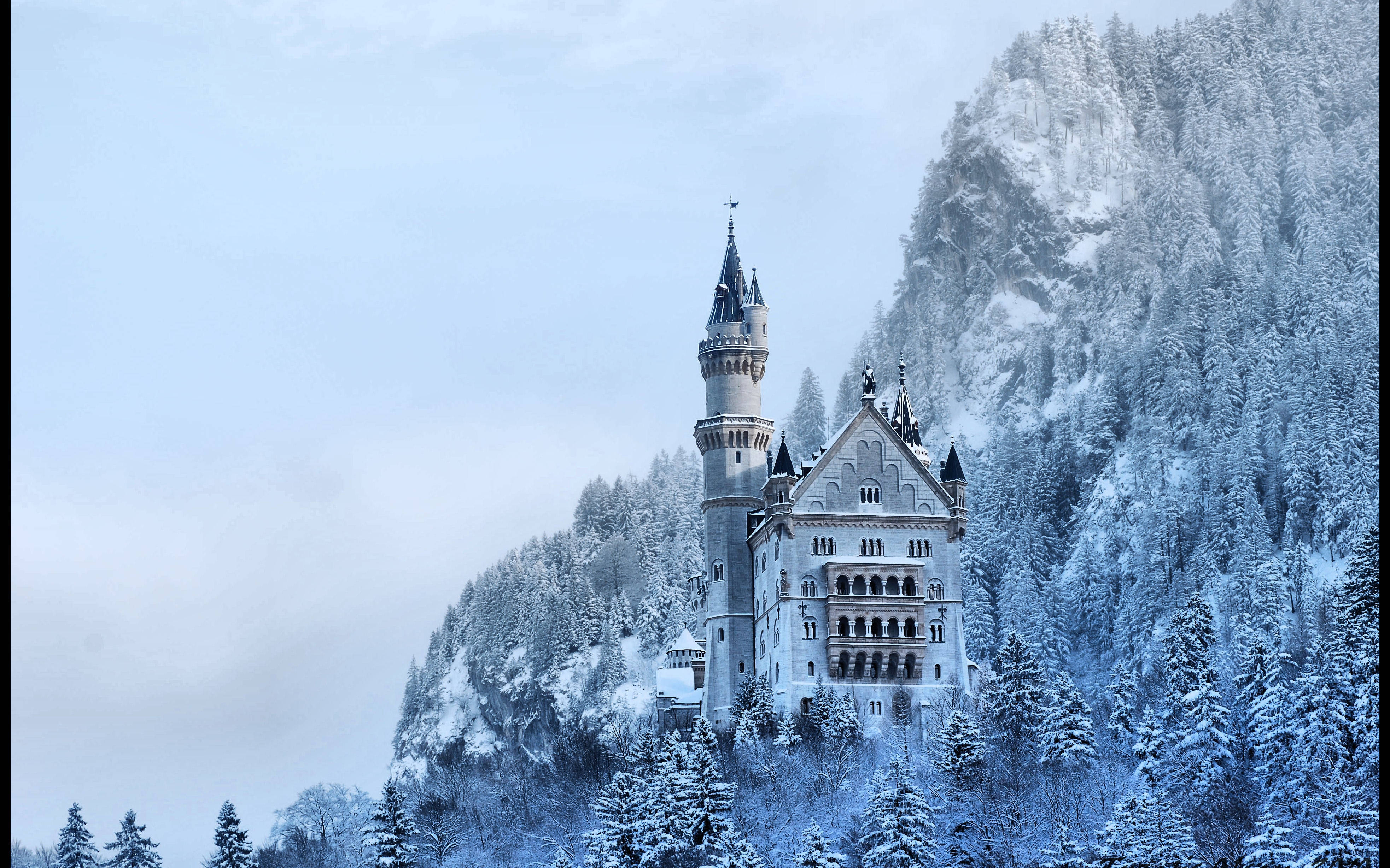 Neuschwanstein Castle 桌布 壁紙 — 一座雄偉的雪覆蓋城堡，坐落在森林覆蓋的山上，在蒼白的冬日天空下。