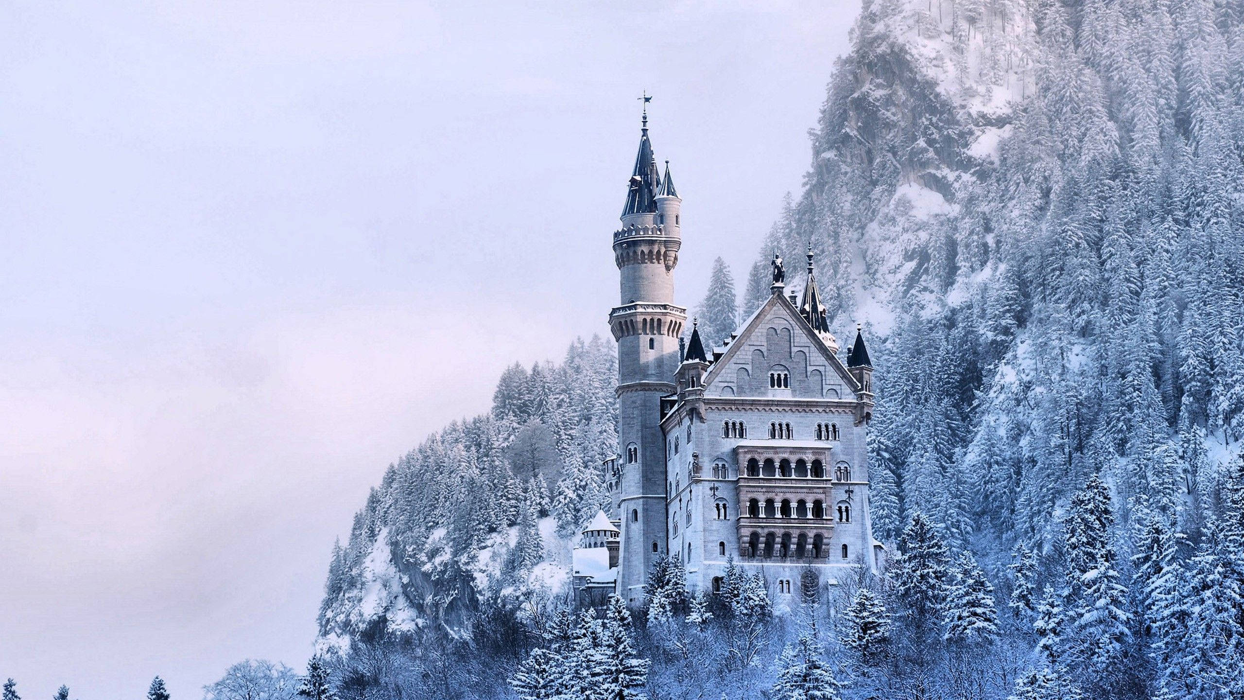Frozen Castle 桌布 壁紙 — 一座雄偉的雪覆蓋城堡坐落在山坡上，周圍是結霜的常青樹，在蒼白的冬日天空下。