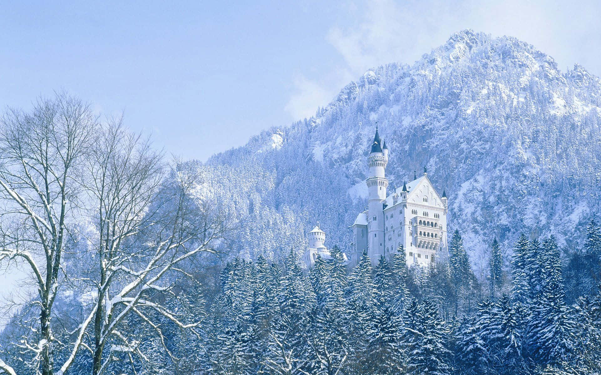 城堡動畫 桌布 壁紙 — 一座雄偉的雪覆蓋城堡坐落在山坡上，被常青樹環繞，背景是清澈的藍天。