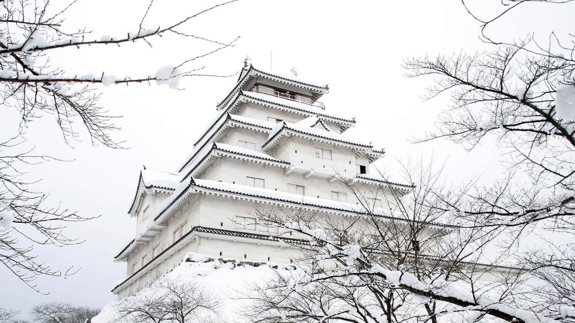 Best Winter 桌布 壁紙 — 一座雄偉的雪覆蓋的日本城堡在冬日光禿的樹枝間升起，襯著蒼白的天空。