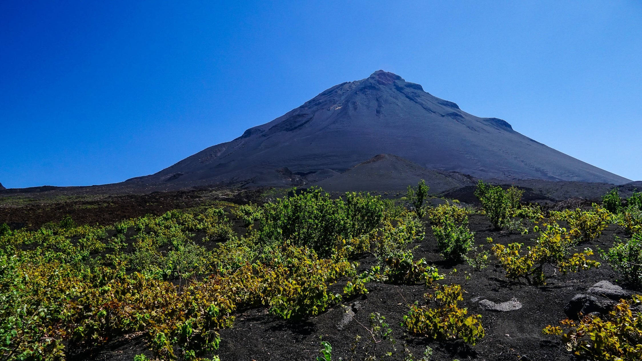 山景 桌布 壁紙 — 一座雄偉的黑色火山山脈在晴朗的藍天下升起，前景的黑色熔岩場上點綴著頑強的綠色灌木。