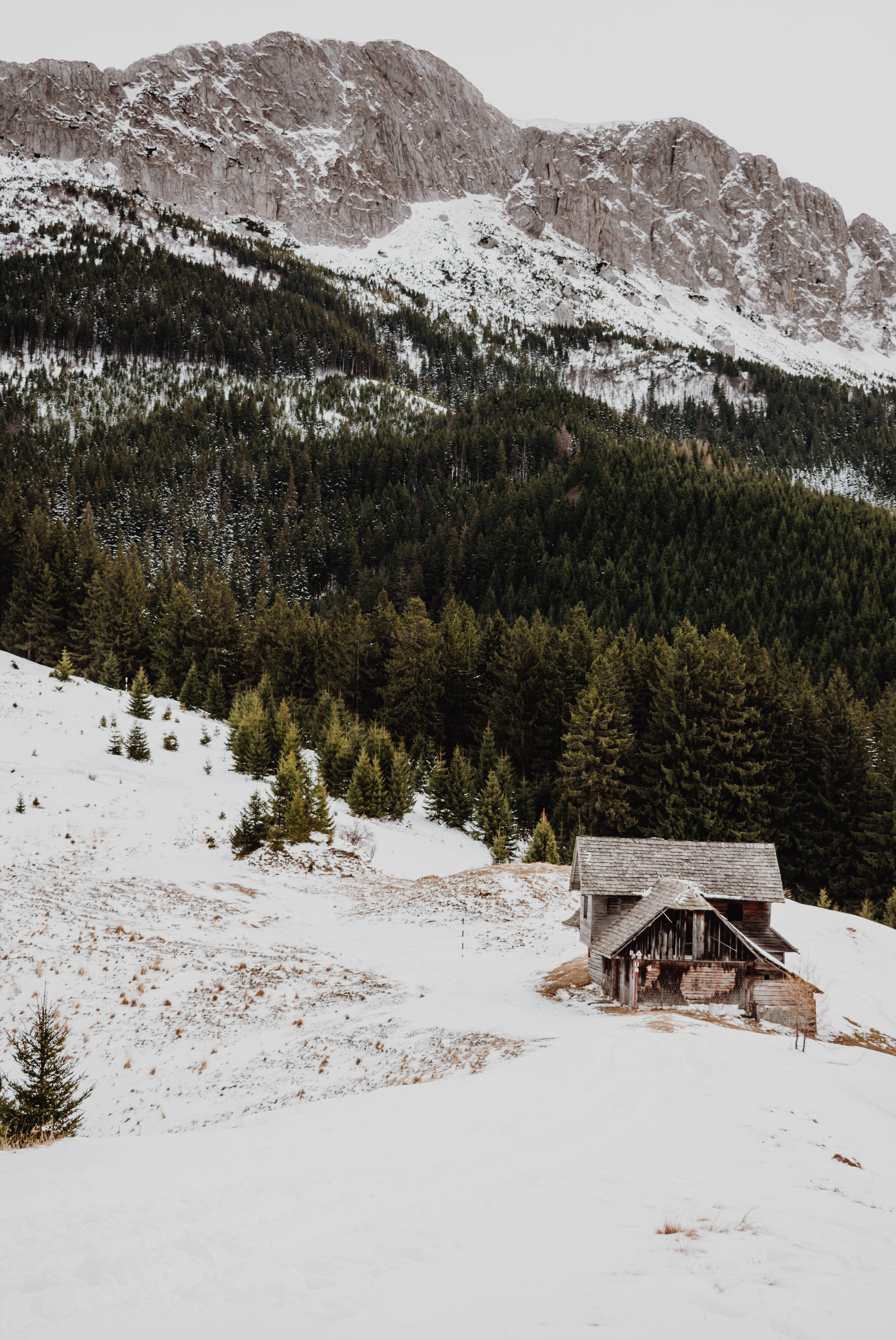 Mountain Landscape 桌布 壁紙 — 一座風化的木屋坐落在白雪覆蓋的山谷中，周圍是常綠森林和岩石山峰，天空多雲。