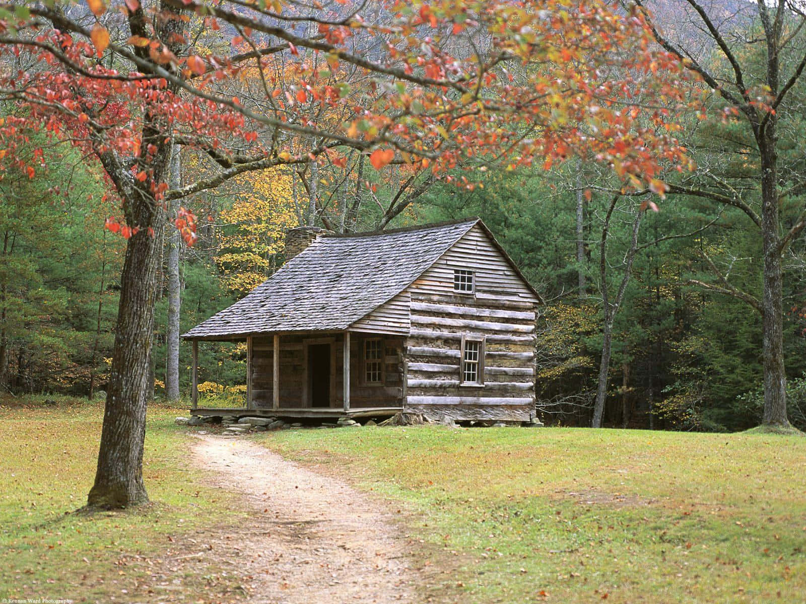 Log Cabin 桌布 壁紙 — 一座風化的木屋坐落在秋日樹林中，鮮紅的樹葉框住了整個場景。