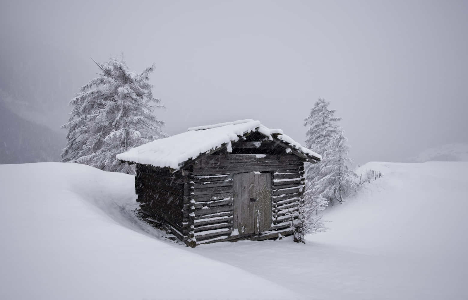 Hut 桌布 壁紙 — 一座風化的木屋埋在深雪中，積雪的樹木像哨兵一樣矗立在霧濛濛的冬季山谷中。