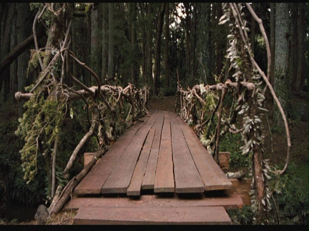 bridge 桌布 壁紙 — 一座風化的木橋，藤蔓覆蓋的欄杆蜿蜒穿過茂密陰暗的森林。