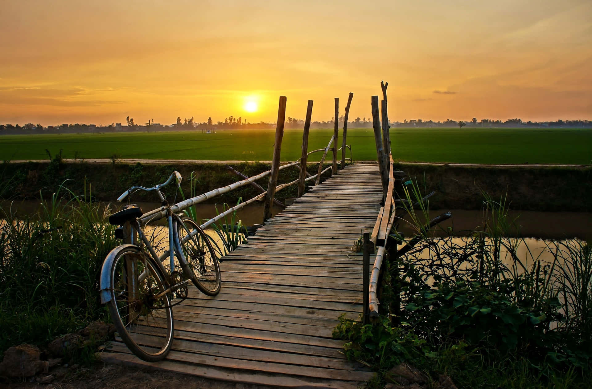 field 桌布 壁紙 — 一座風化的木橋上有一輛腳踏車，在金色夕陽下斜跨運河，通往廣闊的綠色稻田。