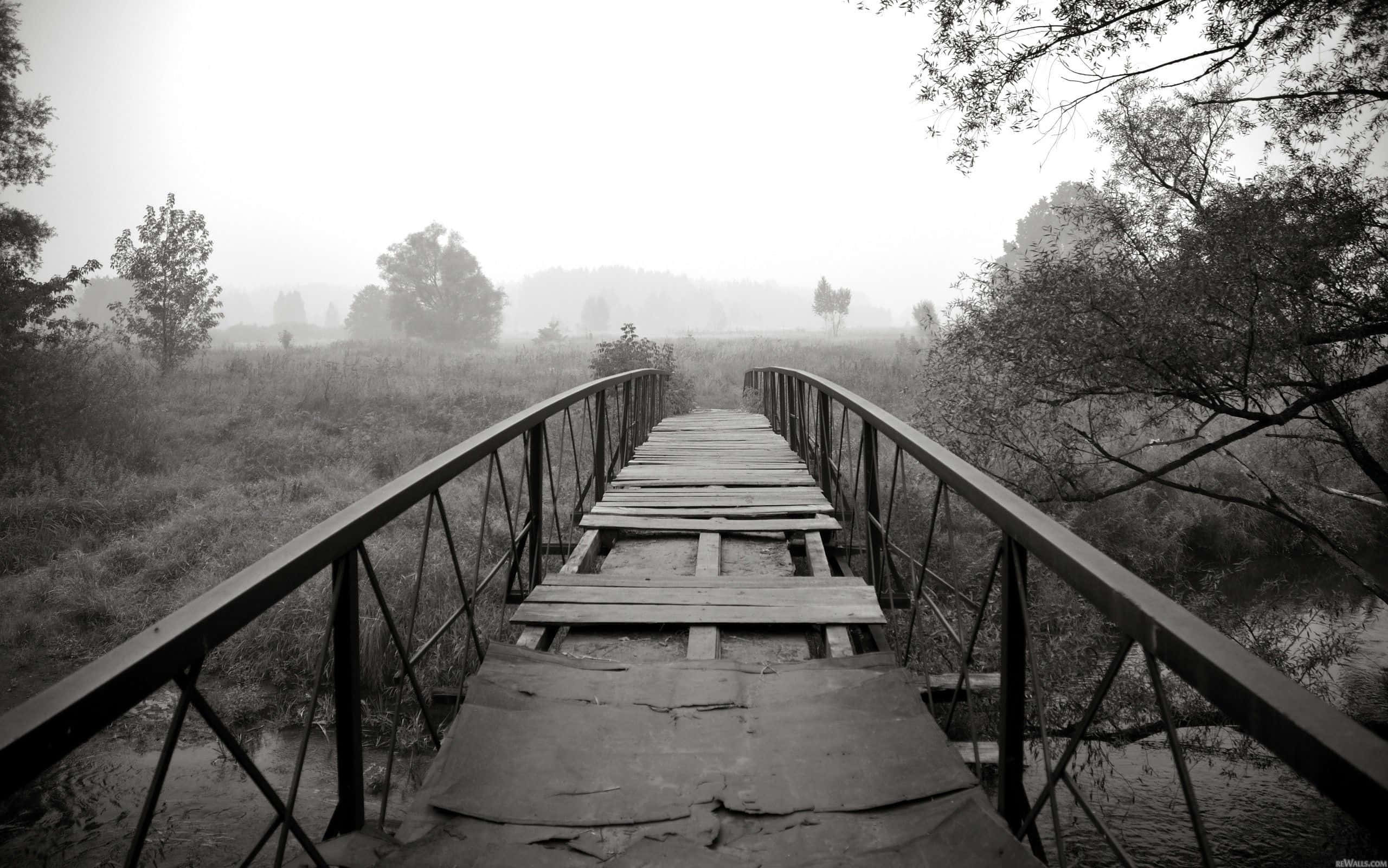 Black And White Nature 桌布 壁紙 — 一座風化的木橋帶有金屬欄杆，在陰天延伸至霧氣瀰漫的田野。