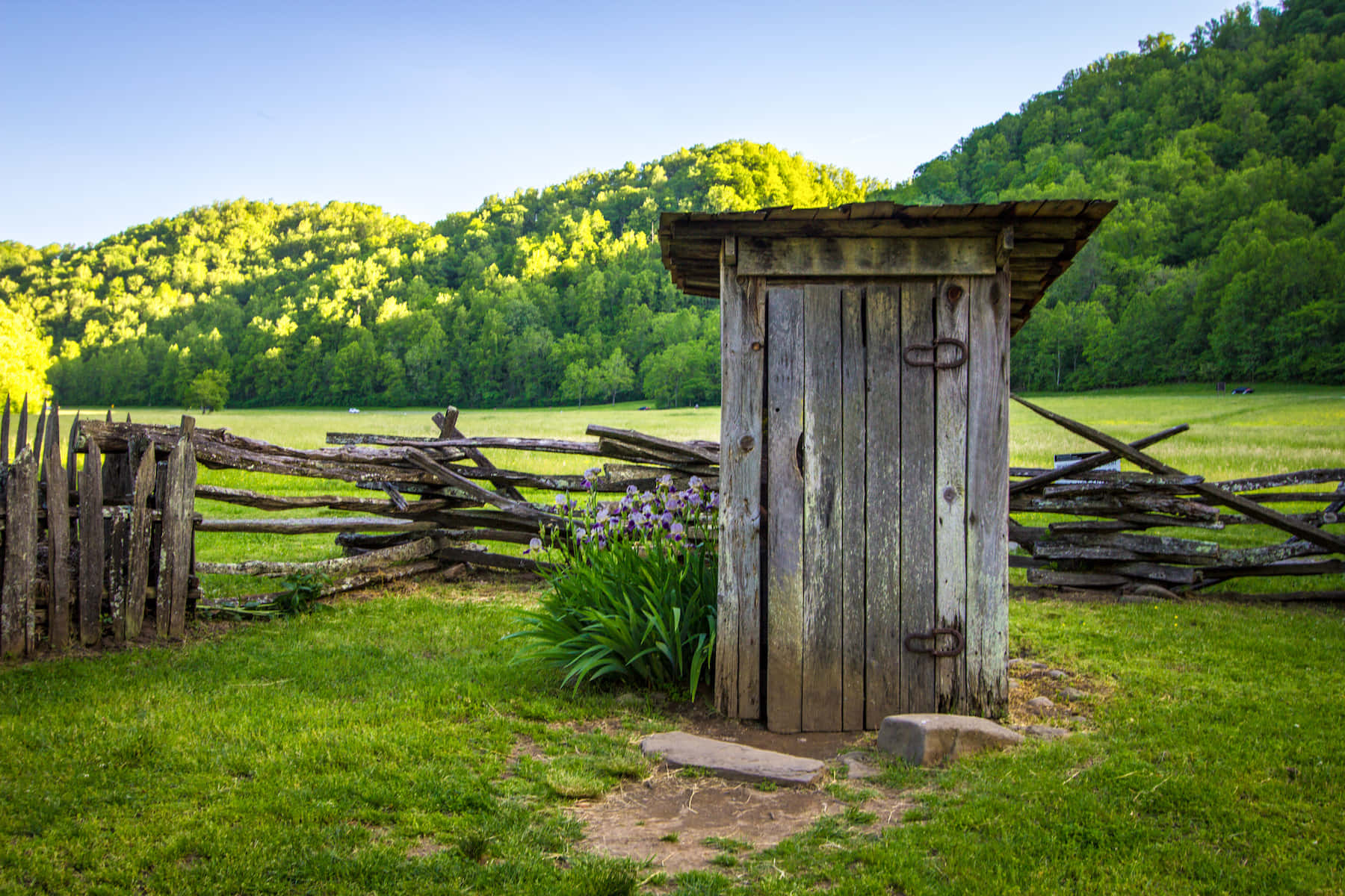 Outhouse 桌布 壁紙 — 一座風化的木製戶外廁所矗立在陽光照耀的草地上，旁邊是質樸的劈木圍欄，附近有紫色鳶尾花盛開。