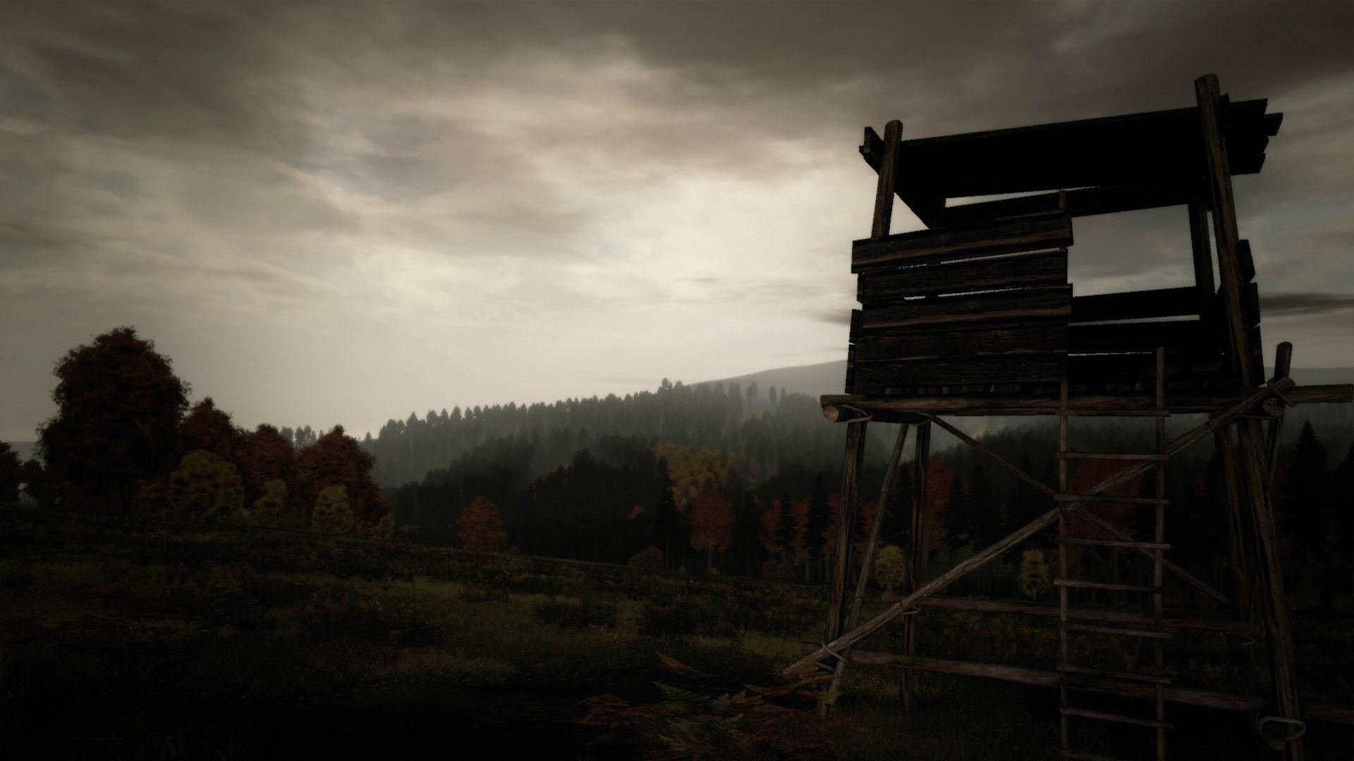 Dayz Desktop 桌布 壁紙 — 一座風化的木製瞭望塔孤獨地矗立在迷霧籠罩的秋日森林中，天空陰沉多雲。