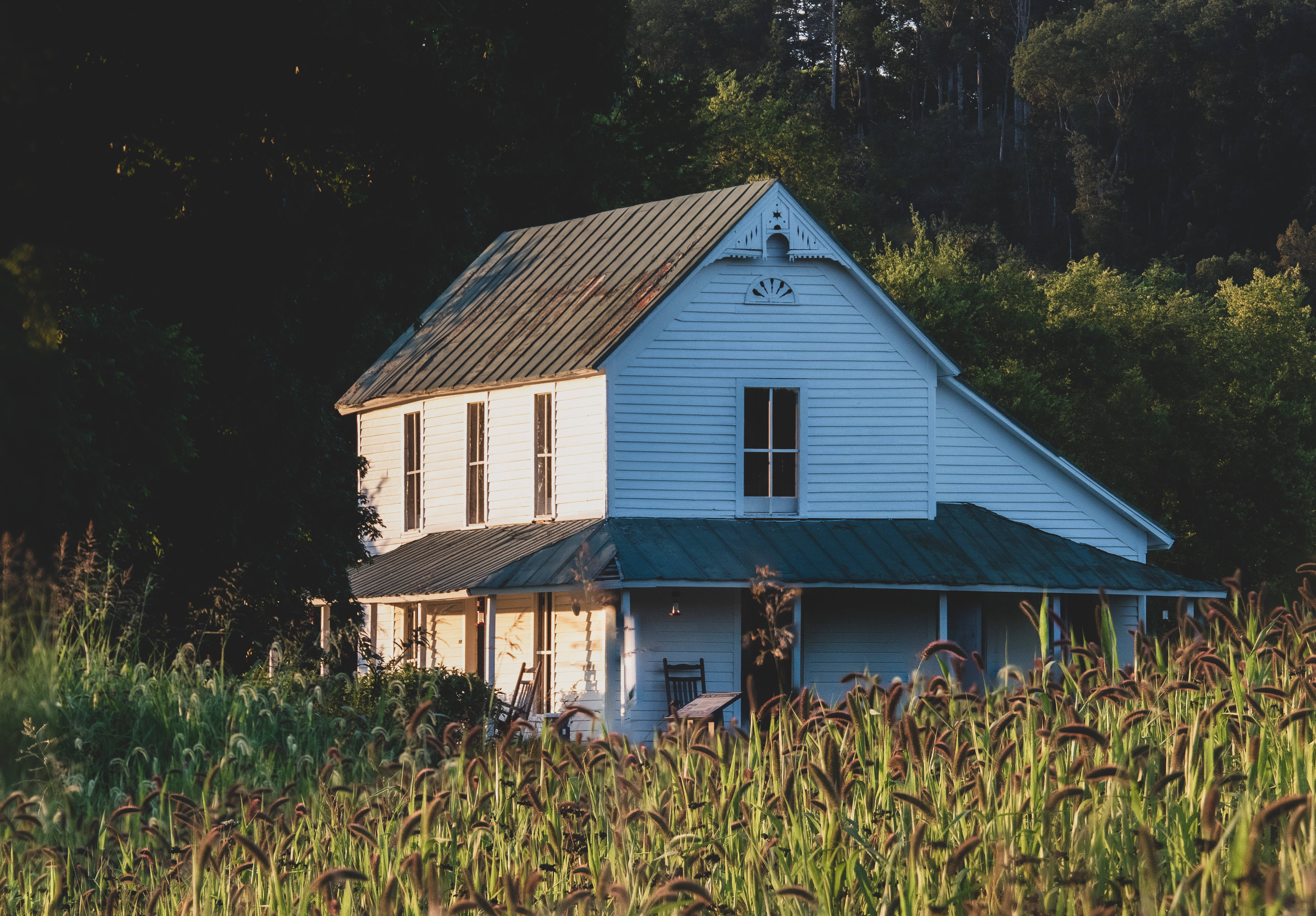 Farmhouse 桌布 壁紙 — 一座風化的白色農舍，深色屋頂，坐落在高草和茂密森林中，正值黃金時刻。