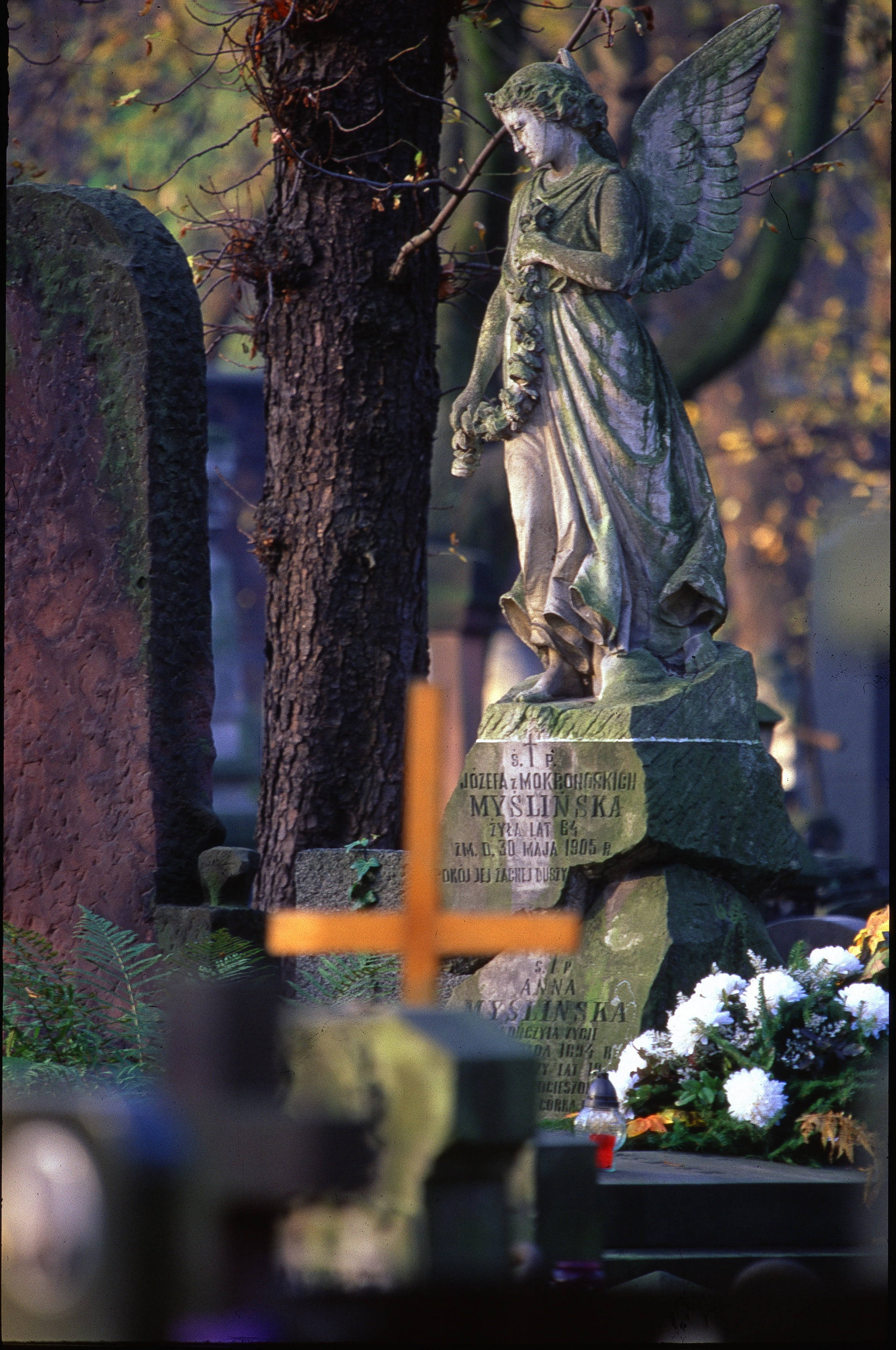 All Saints Day 桌布 壁紙 — 一座風化的石天使雕像莊嚴地立在秋季墓園中一個帶有木十字架和白花的墳墓旁。