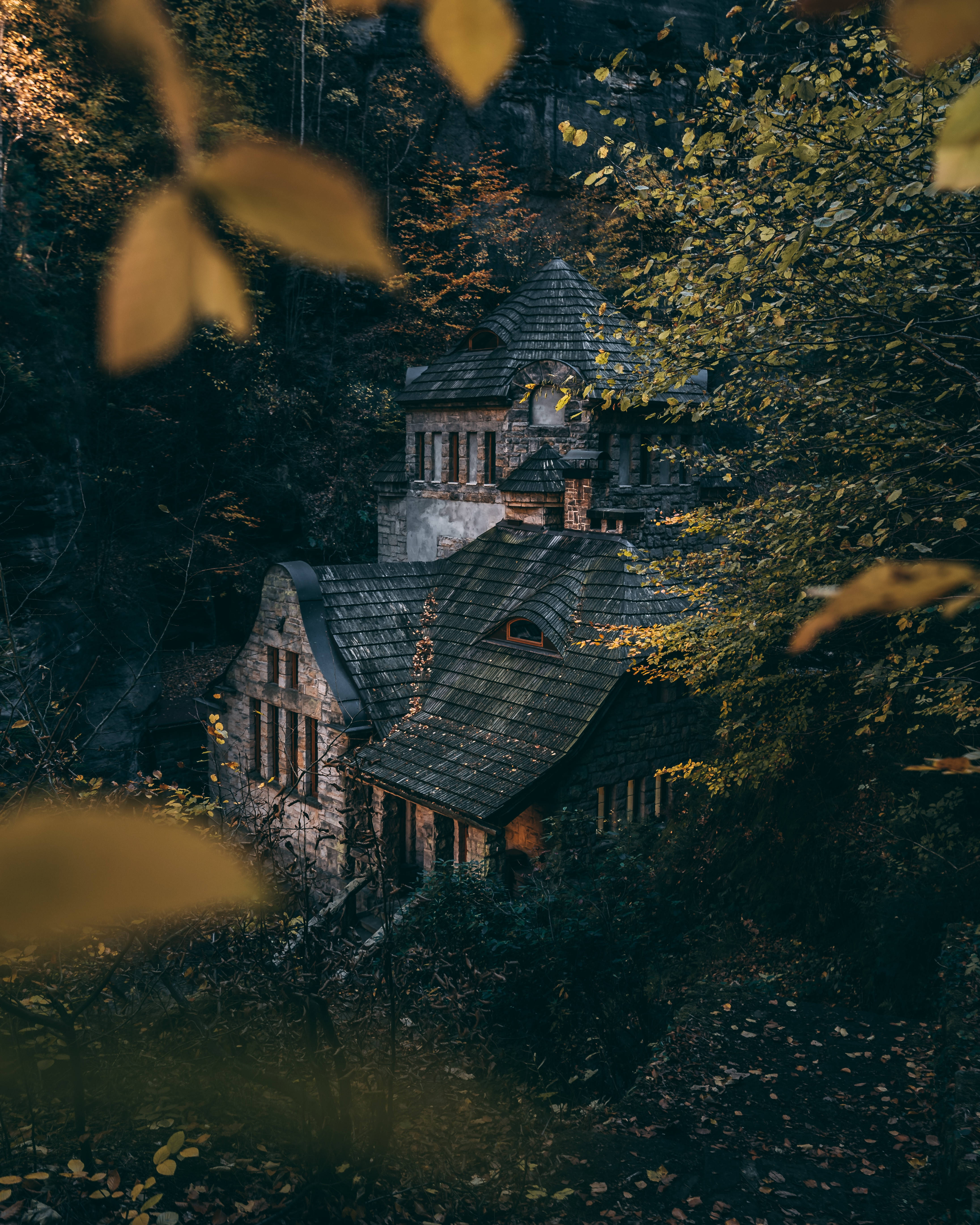 房屋 桌布 壁紙 — 一座風化的石屋，帶有深色木瓦屋頂，坐落在茂密的秋林中，金色的樹葉框住了景色。