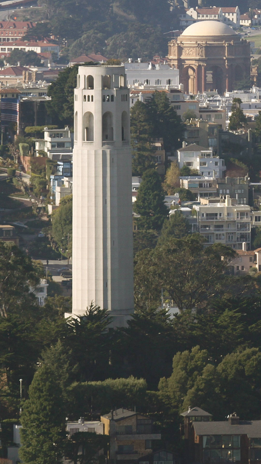 san francisco iPhone 桌布 壁紙 — 一座高大的白色塔樓在陽光明媚的城市景觀中，聳立在茂密的綠樹和密集的城市屋頂之上。
