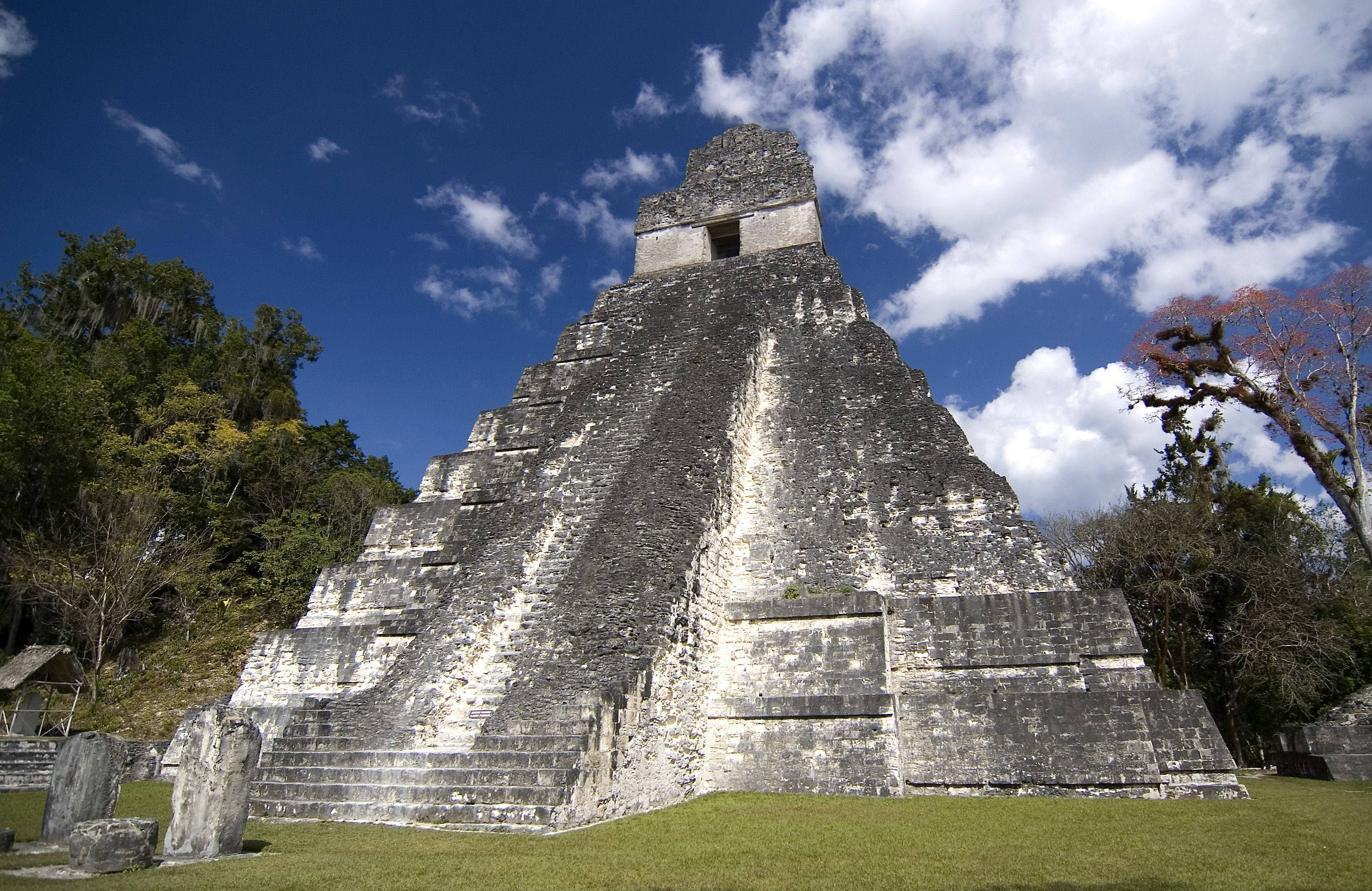 Guatemala 桌布 壁紙 — 一座高聳的古代馬雅金字塔在充滿活力的藍天和蓬鬆的白雲映襯下，周圍環繞著茂密的綠色叢林。