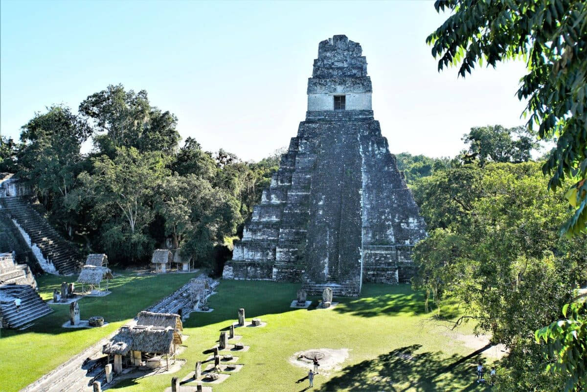 Guatemala 桌布 壁紙 — 一座高聳的古老馬雅金字塔從茂密的綠色叢林空地上拔地而起，背景是明亮的藍天。