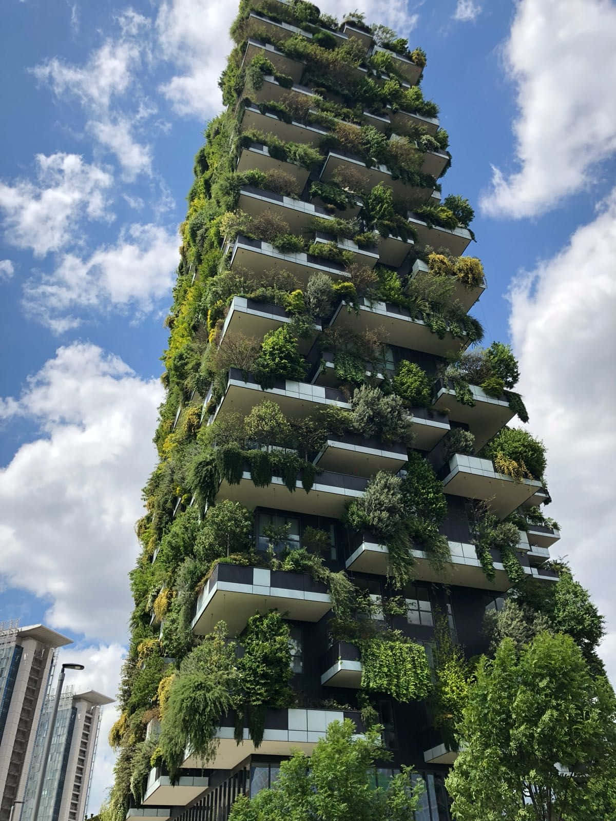 Green Buildings 桌布 壁紙 — 一座高聳的垂直花園摩天大樓被茂密的綠色植物覆蓋，在晴朗的藍天和 fluffy 白雲襯托下聳立。