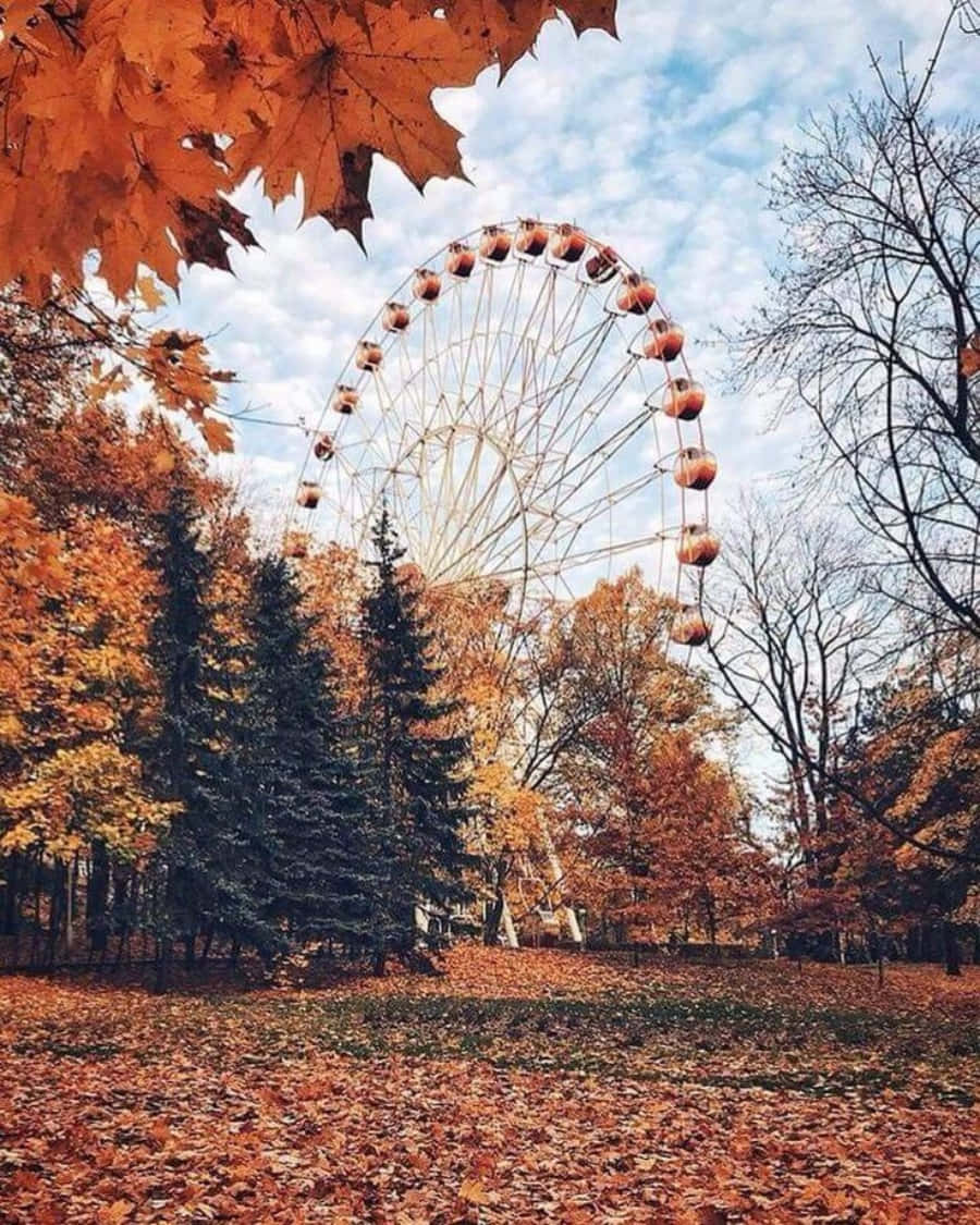 Autumn Season 桌布 壁紙 — 一座高聳的摩天輪矗立在充滿活力的秋日森林中，金黃的樹葉鋪滿地面，天空部分多雲。
