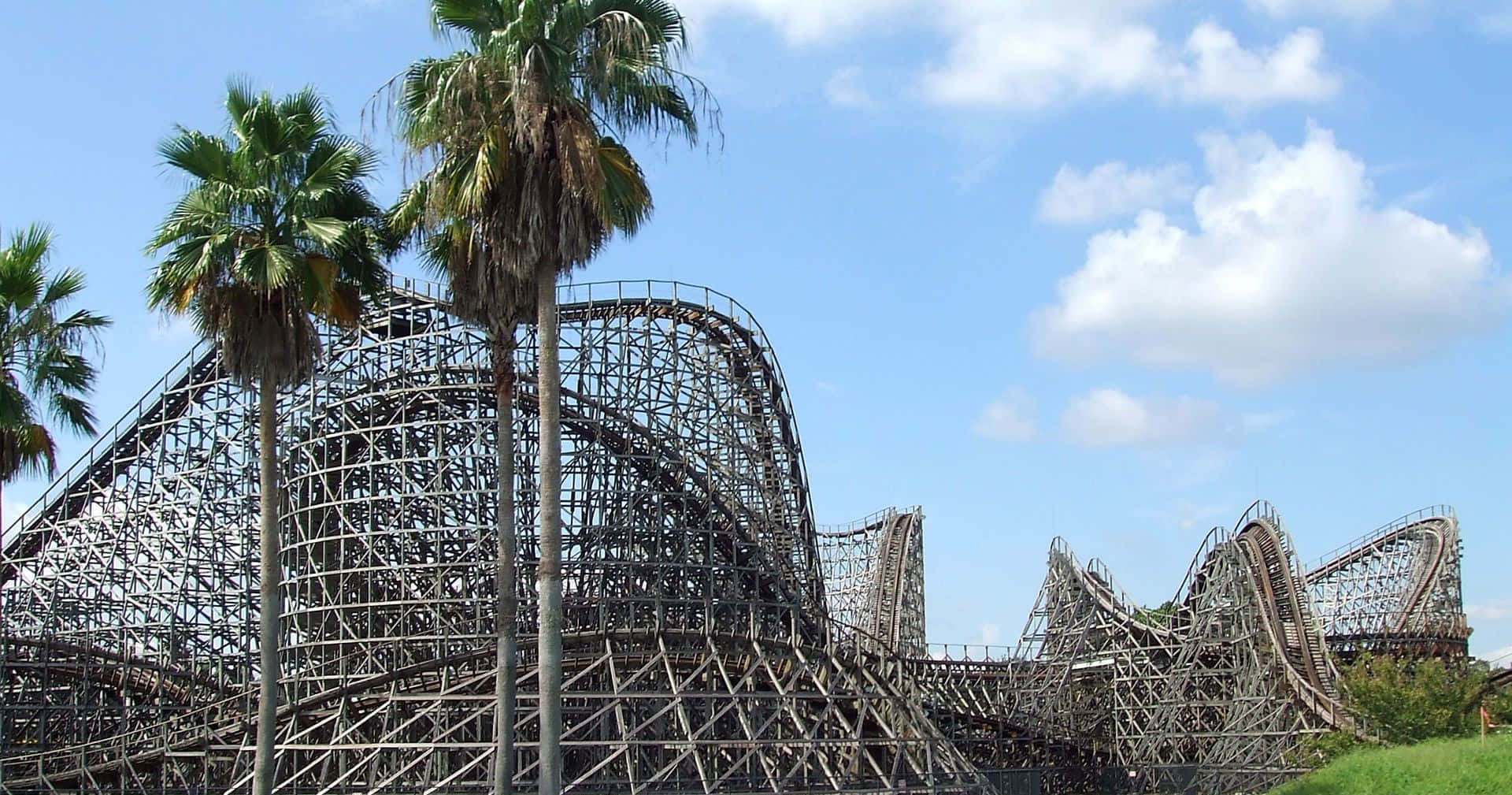 Roller Coaster 桌布 壁紙 — 一座高聳的木製雲霄飛車在晴朗的藍天白雲下蜿蜒曲折，四周環繞著高大的棕櫚樹。