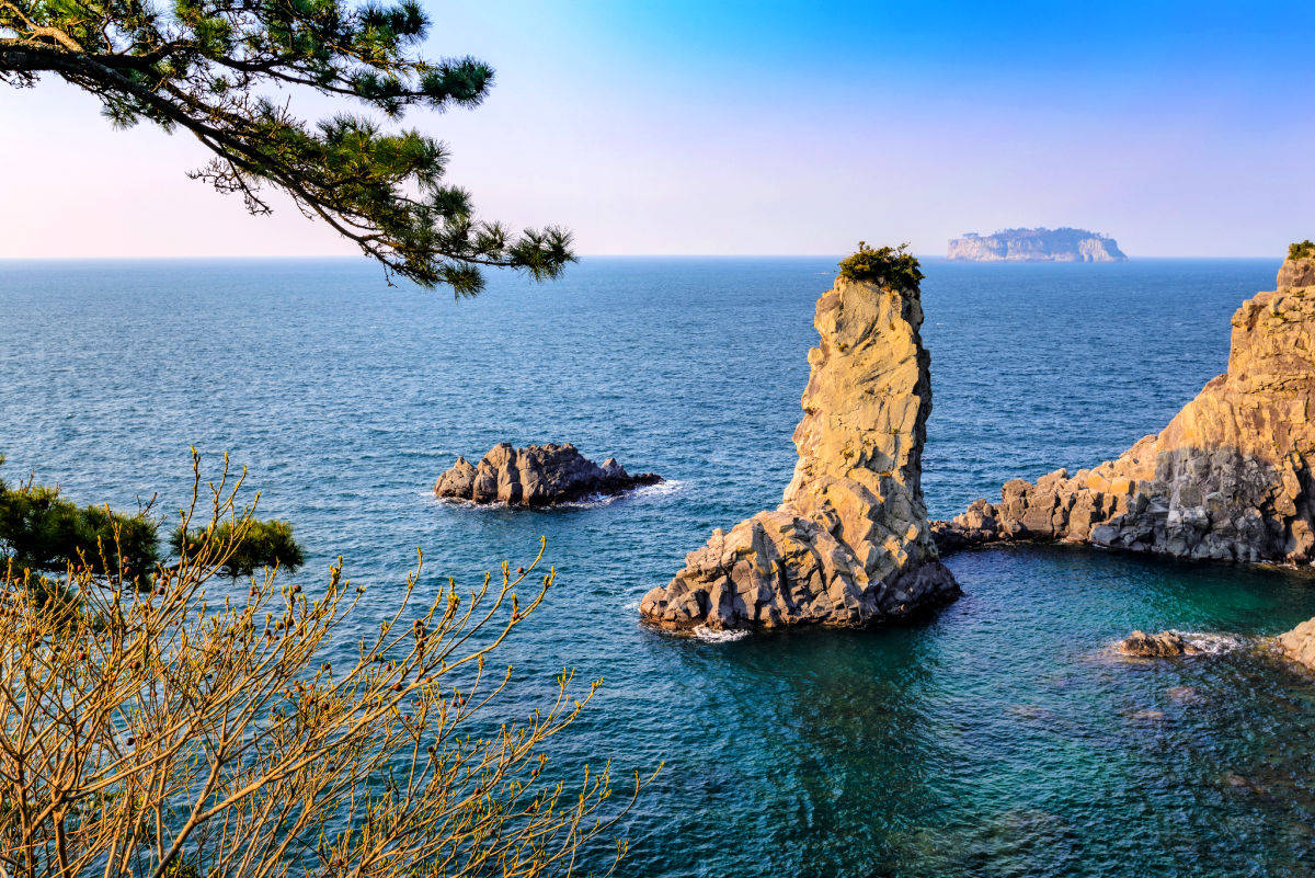 Jeju 桌布 壁紙 — 一座高聳的海蝕柱從碧綠色的海水中升起，在清澈的藍天下，由松樹枝和遠處的島嶼框出。