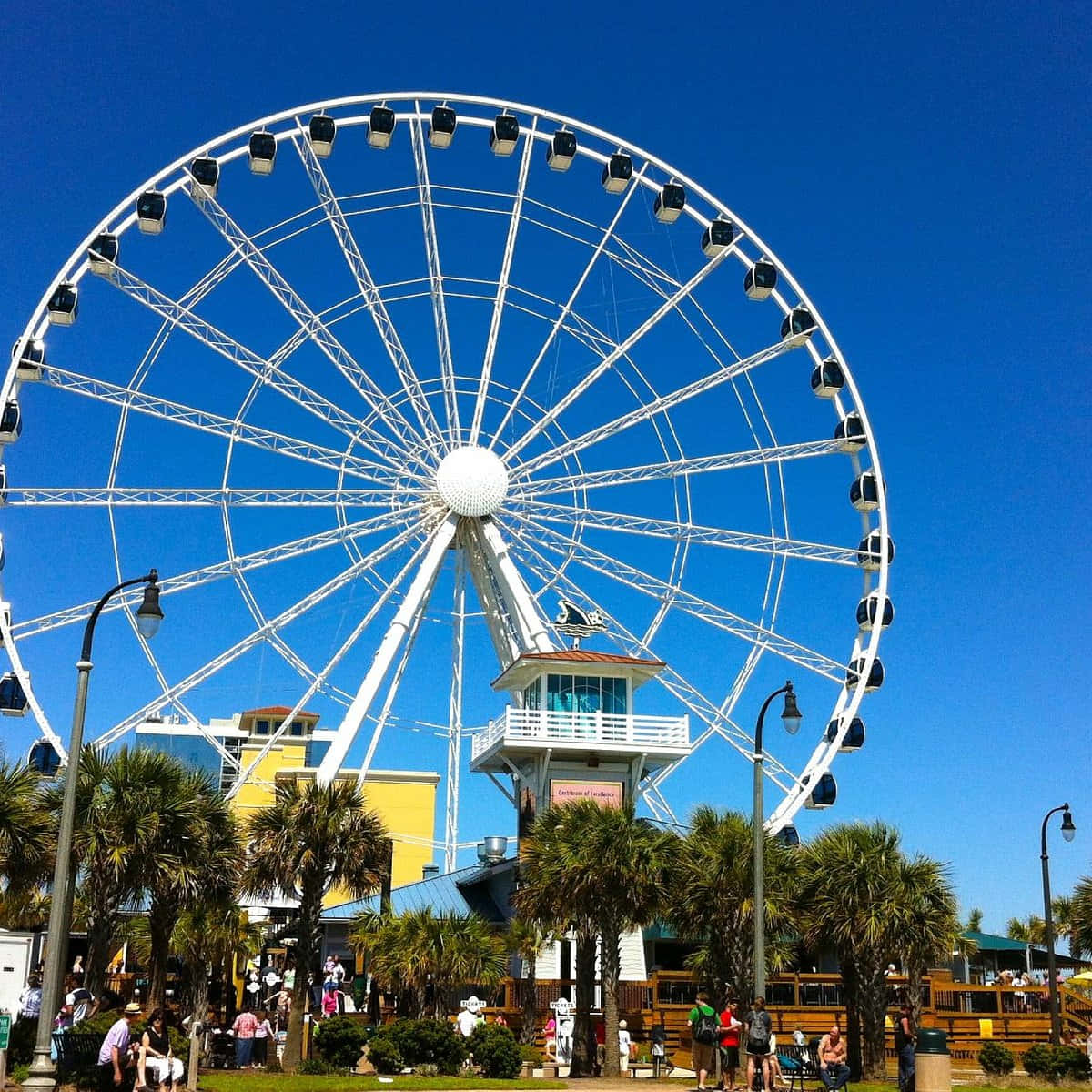 Myrtle Beach 桌布 壁紙 — 一座高聳的白色摩天輪矗立在鮮豔的藍天下，周圍環繞著棕櫚樹和熙熙攘攘的遊客，位於陽光明媚的海濱遊樂區。