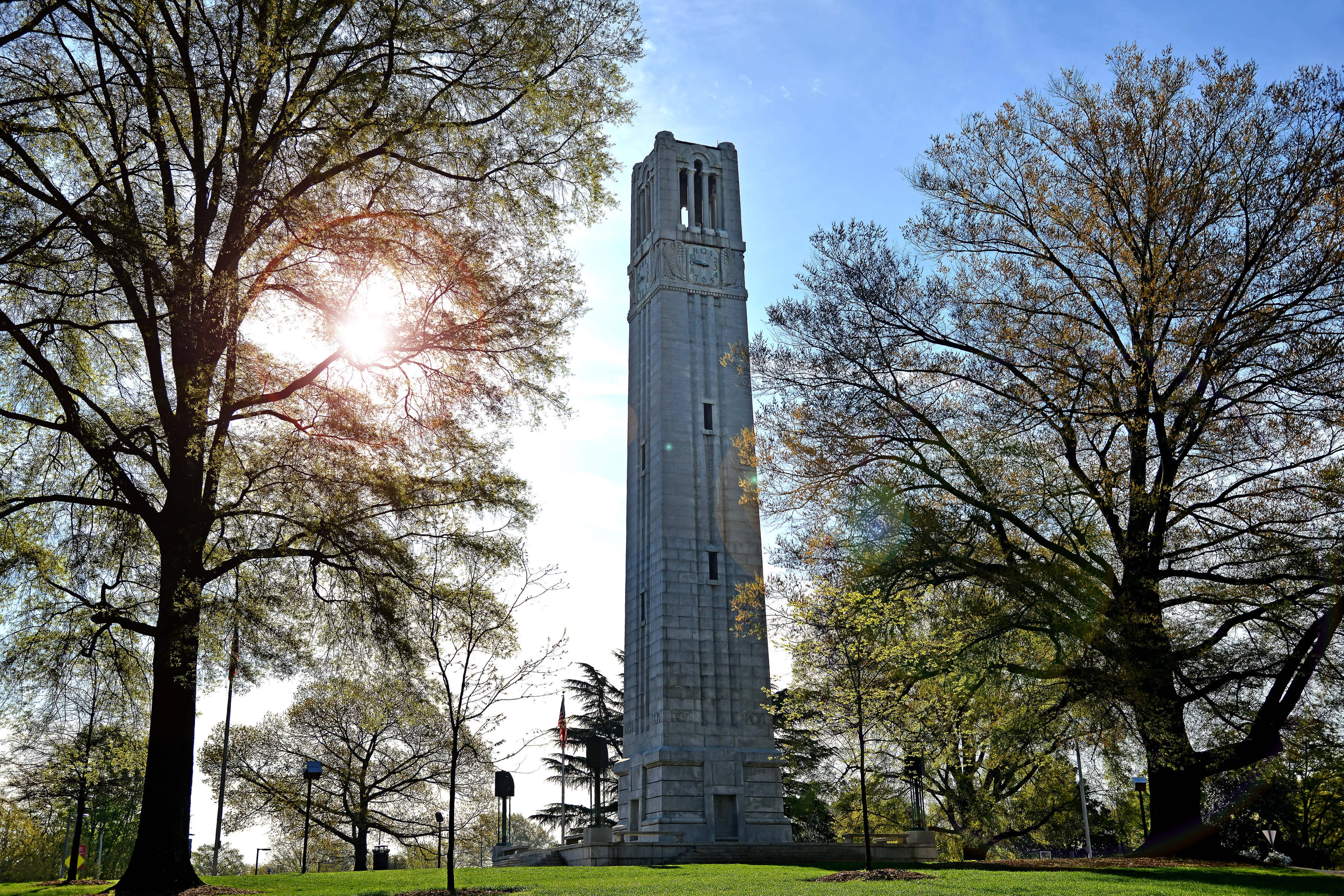 North Carolina 桌布 壁紙 — 一座高聳的石造鐘樓在陽光明媚的公園中巍然矗立，周圍是枝葉茂密的樹木，金色陽光穿過樹枝灑落。